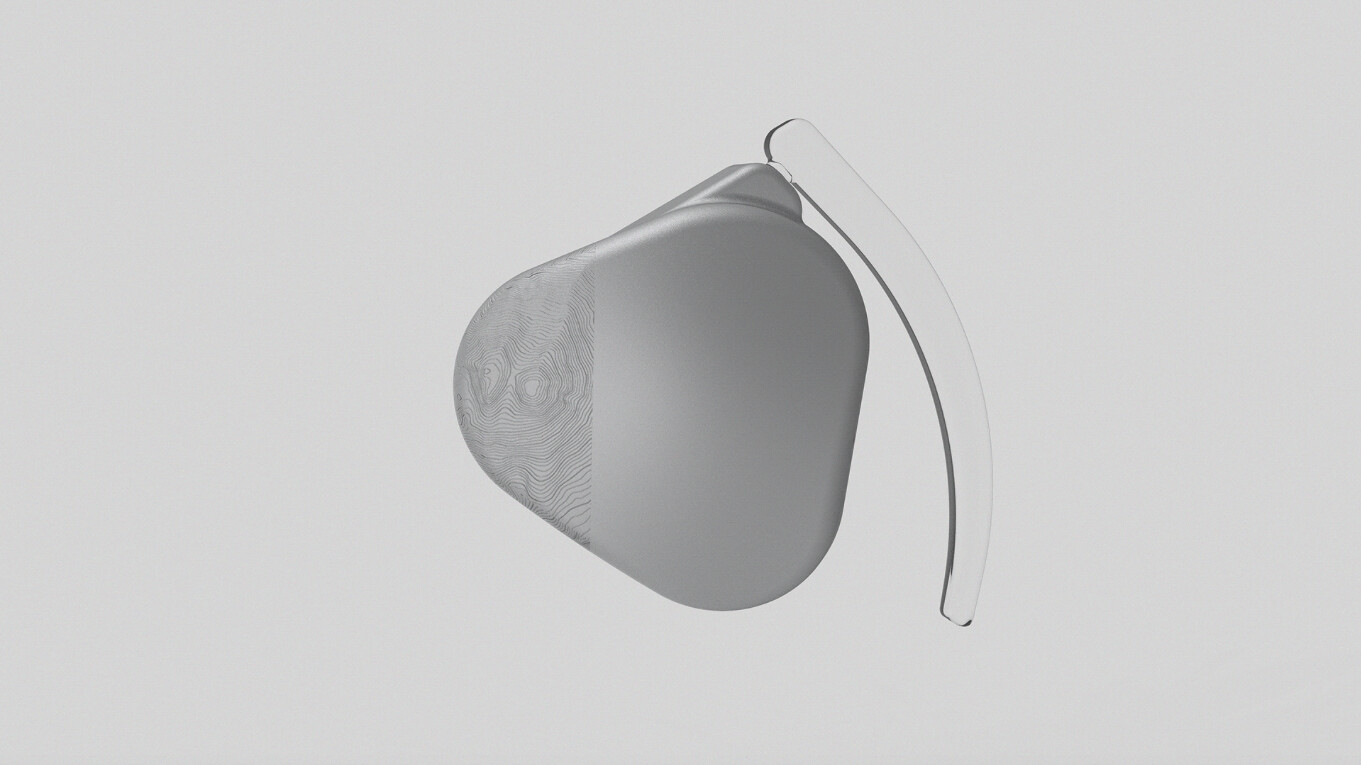 echo: The Universal Wearable Translator