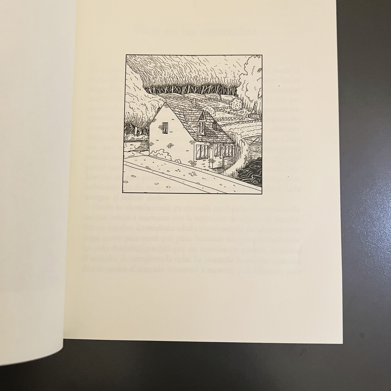 Photograhs of the book THE MAGIC FOREST SONG