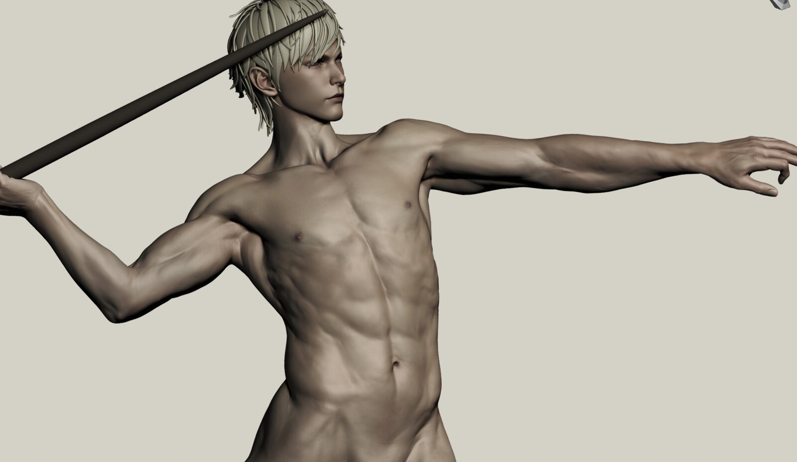 Male dynamic anatomy