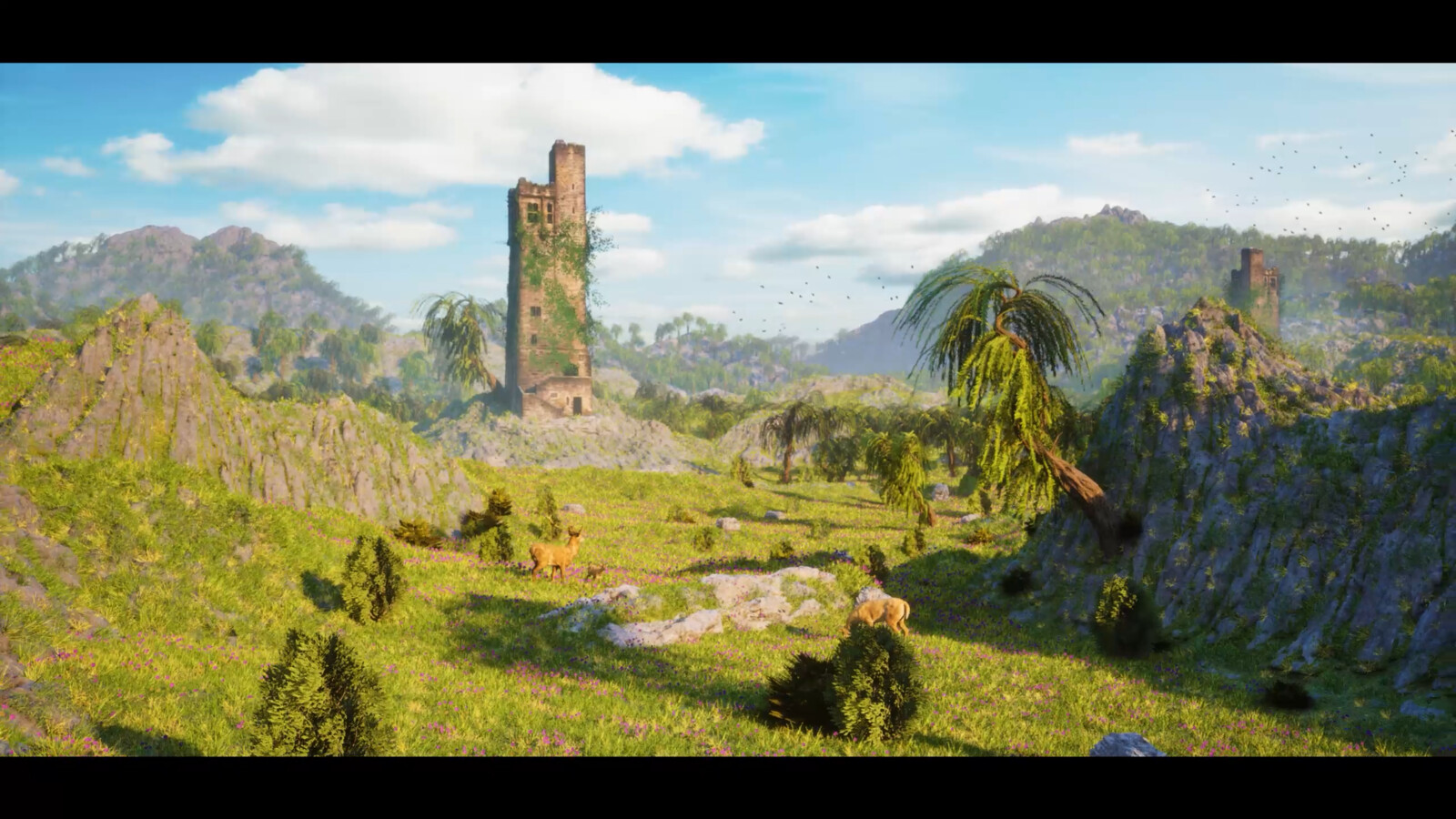 Still Frame