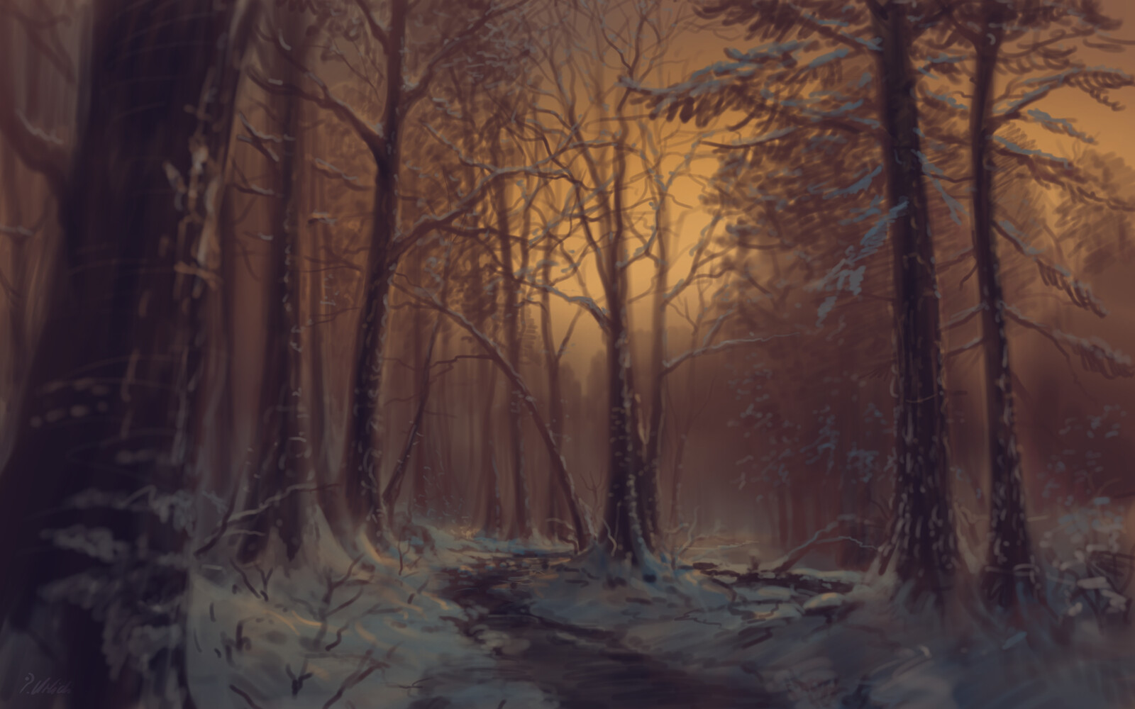 Forest twilight