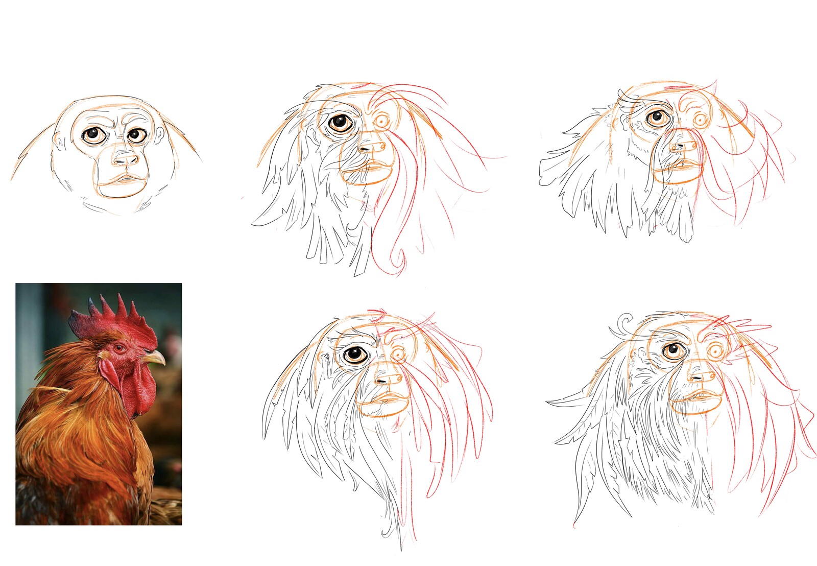 Pass 2. Head skin and feathers