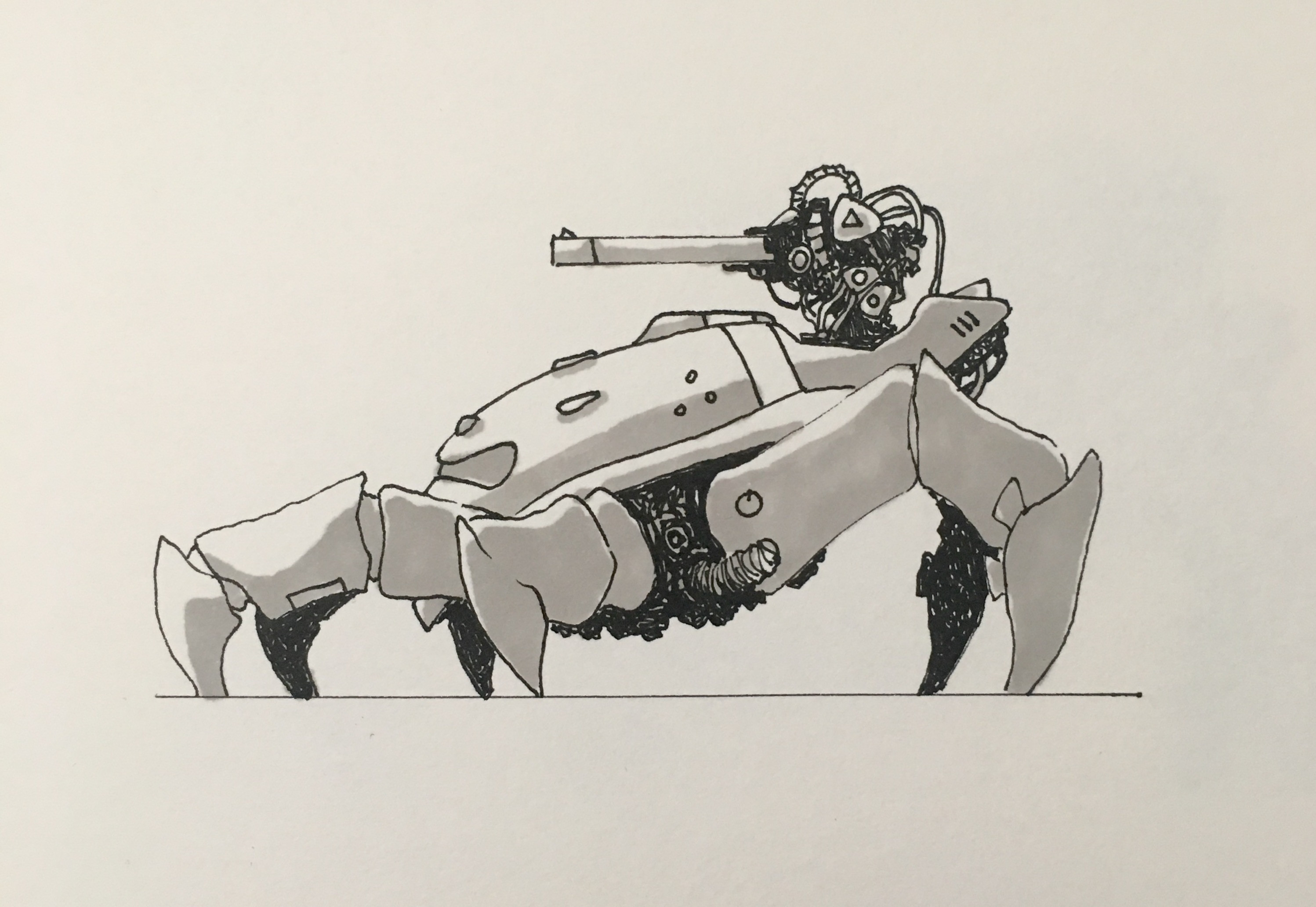 sketches