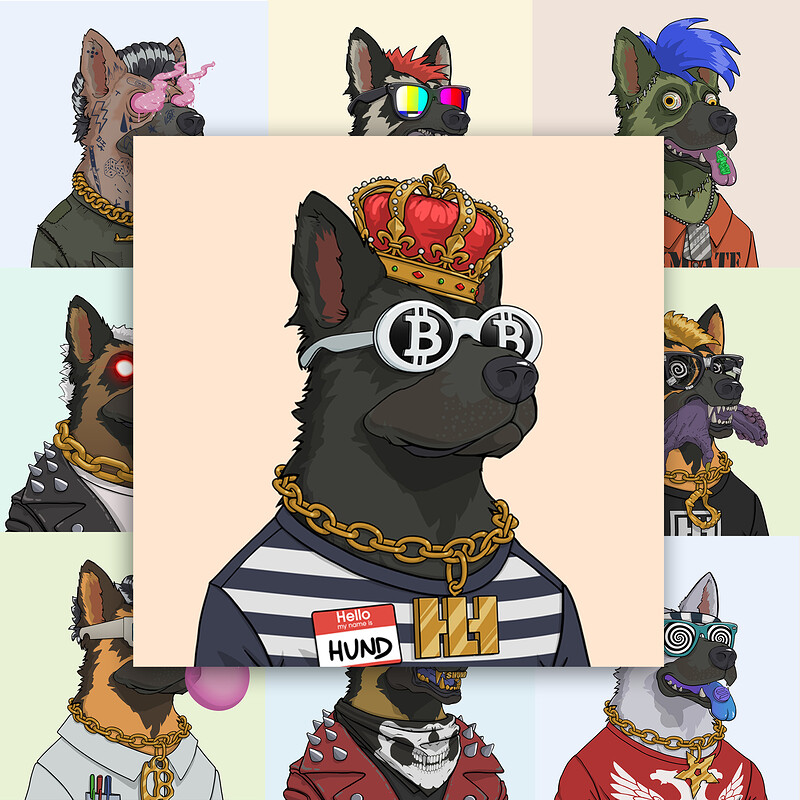 HUND on sol NFT collection 