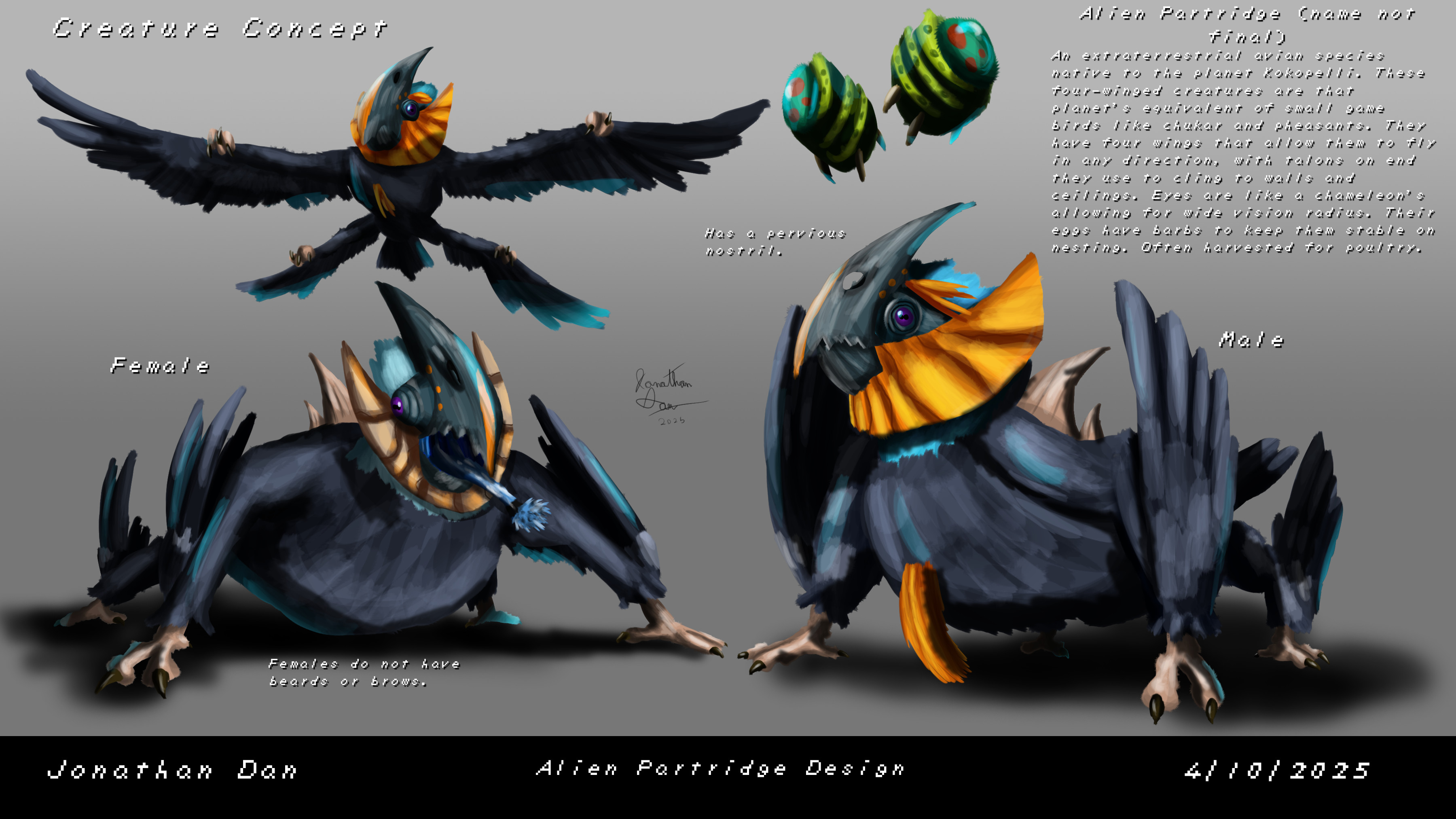Information on the alien birds done as separate assignment