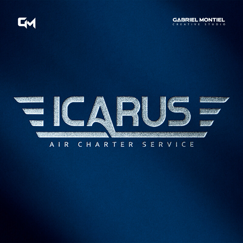 Logo Design - Air Charter Service