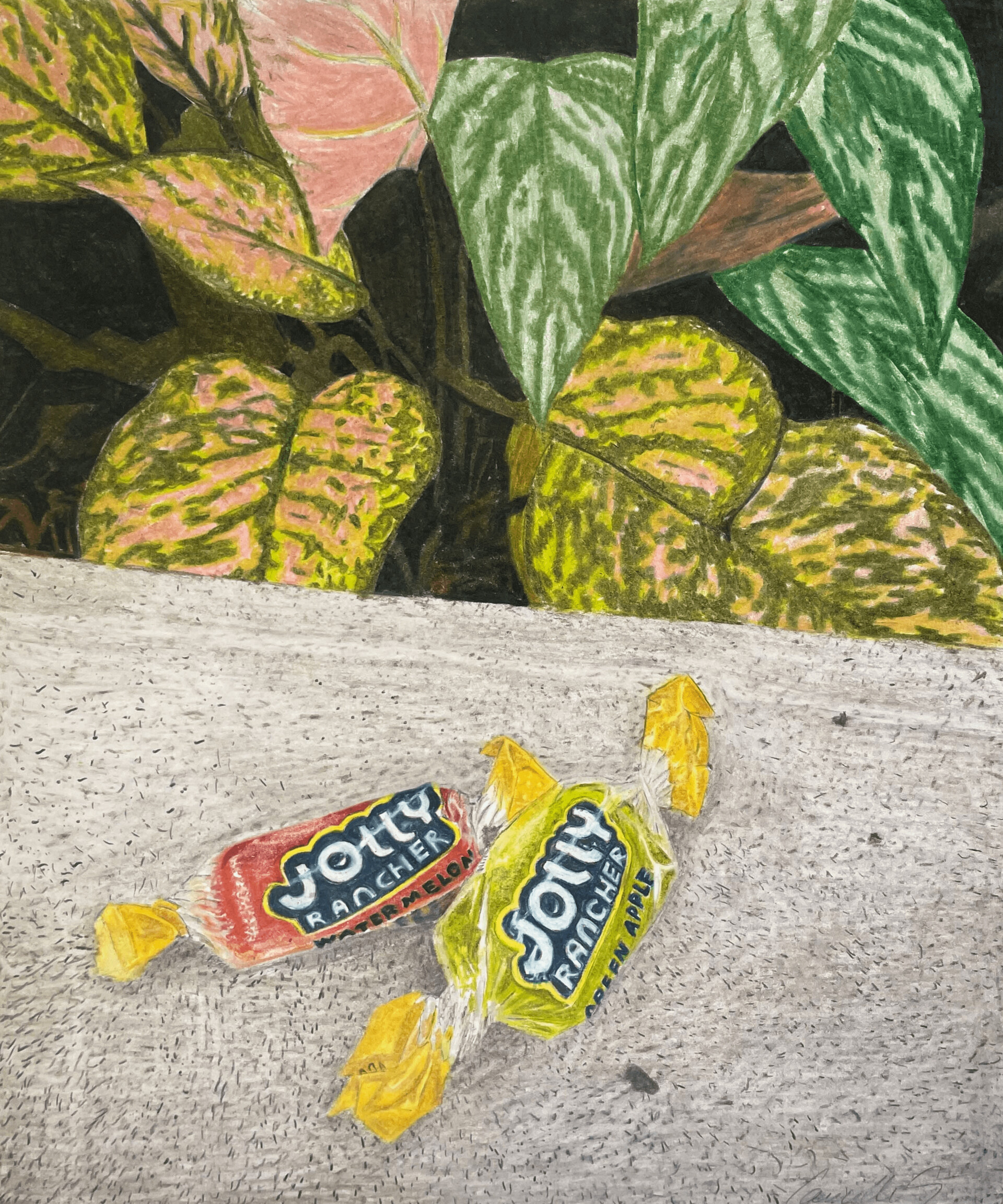 Student Colored Pencil: Camille Scott