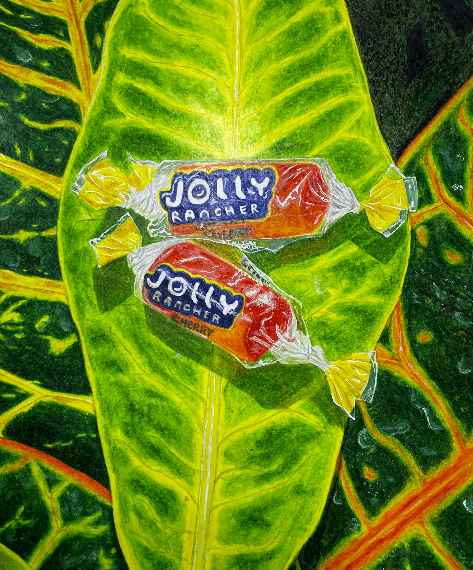 Student Colored Pencil: Imani Bascoe