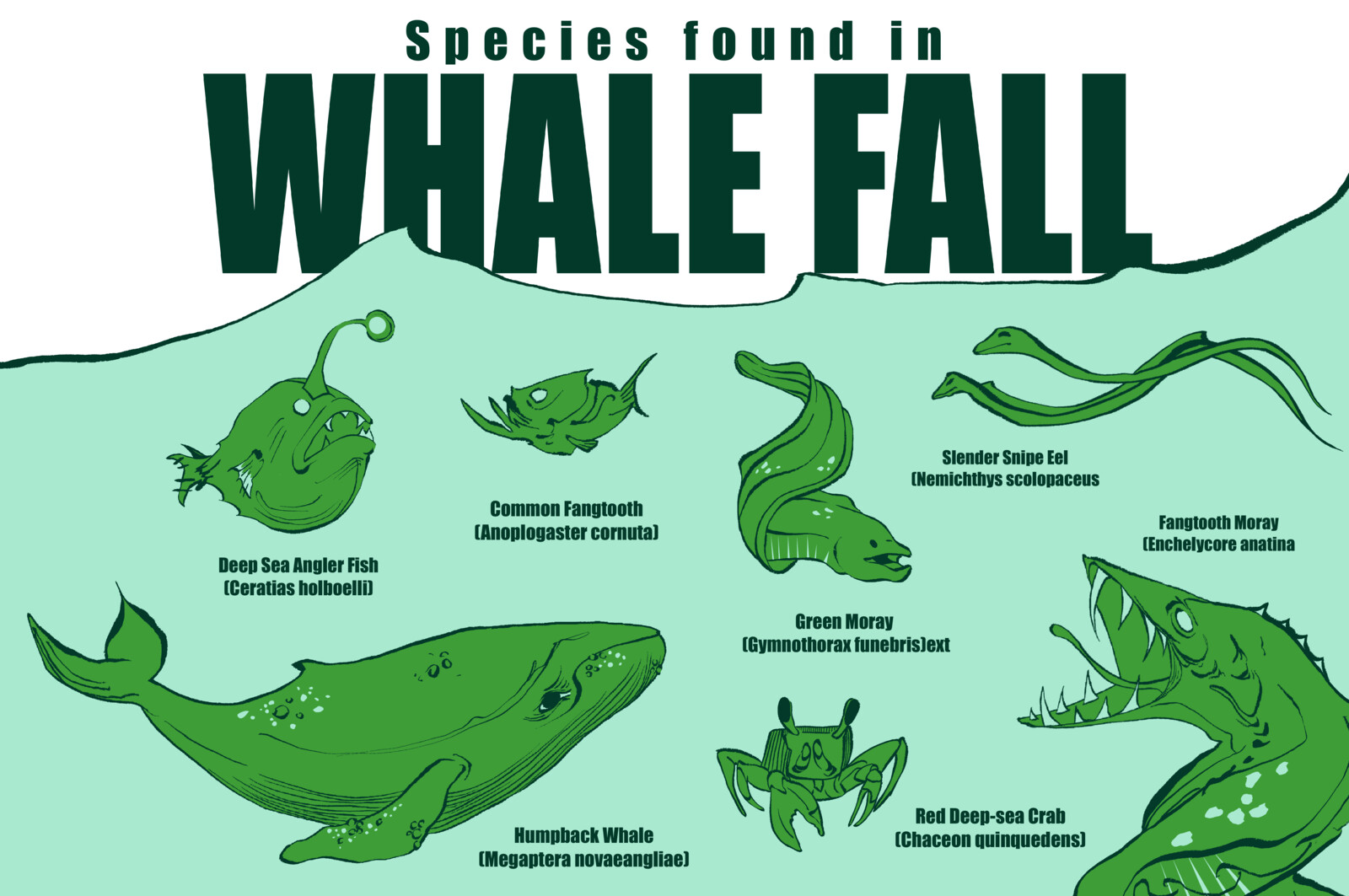 Additional informational poster