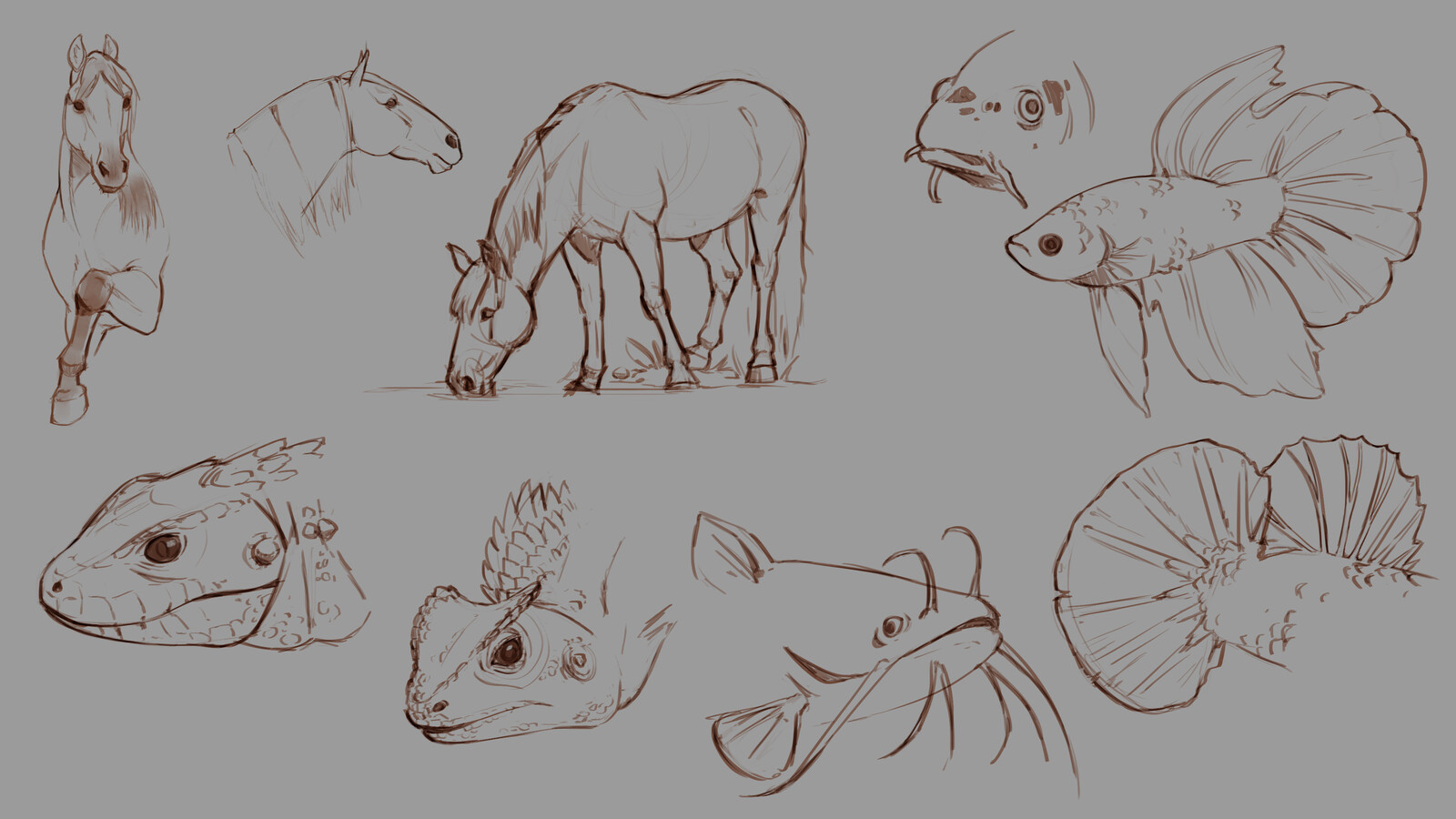 Warm up Sketches