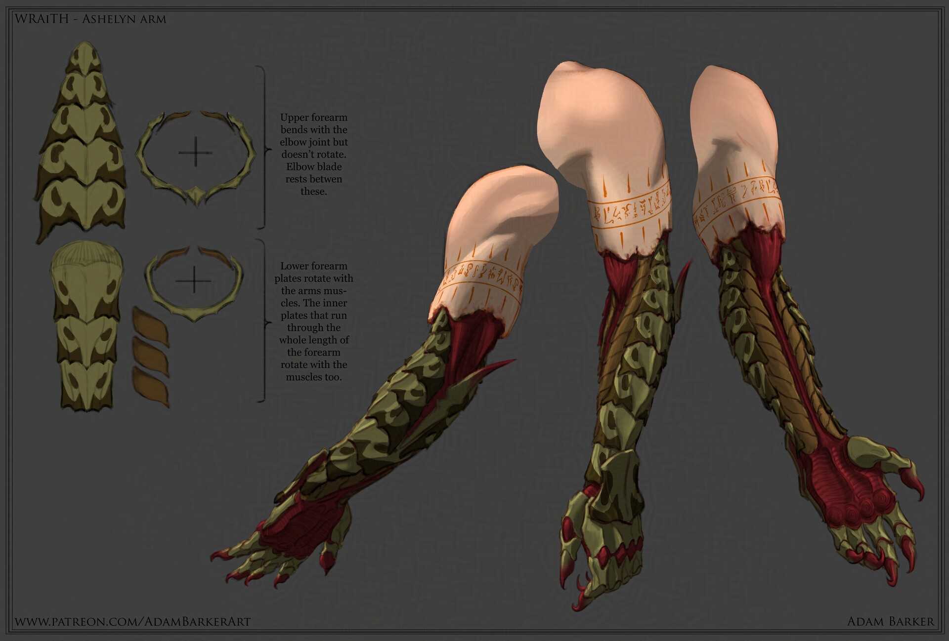 adam-barker-final-ashe-charactersheet-arm-web-gl.jpg