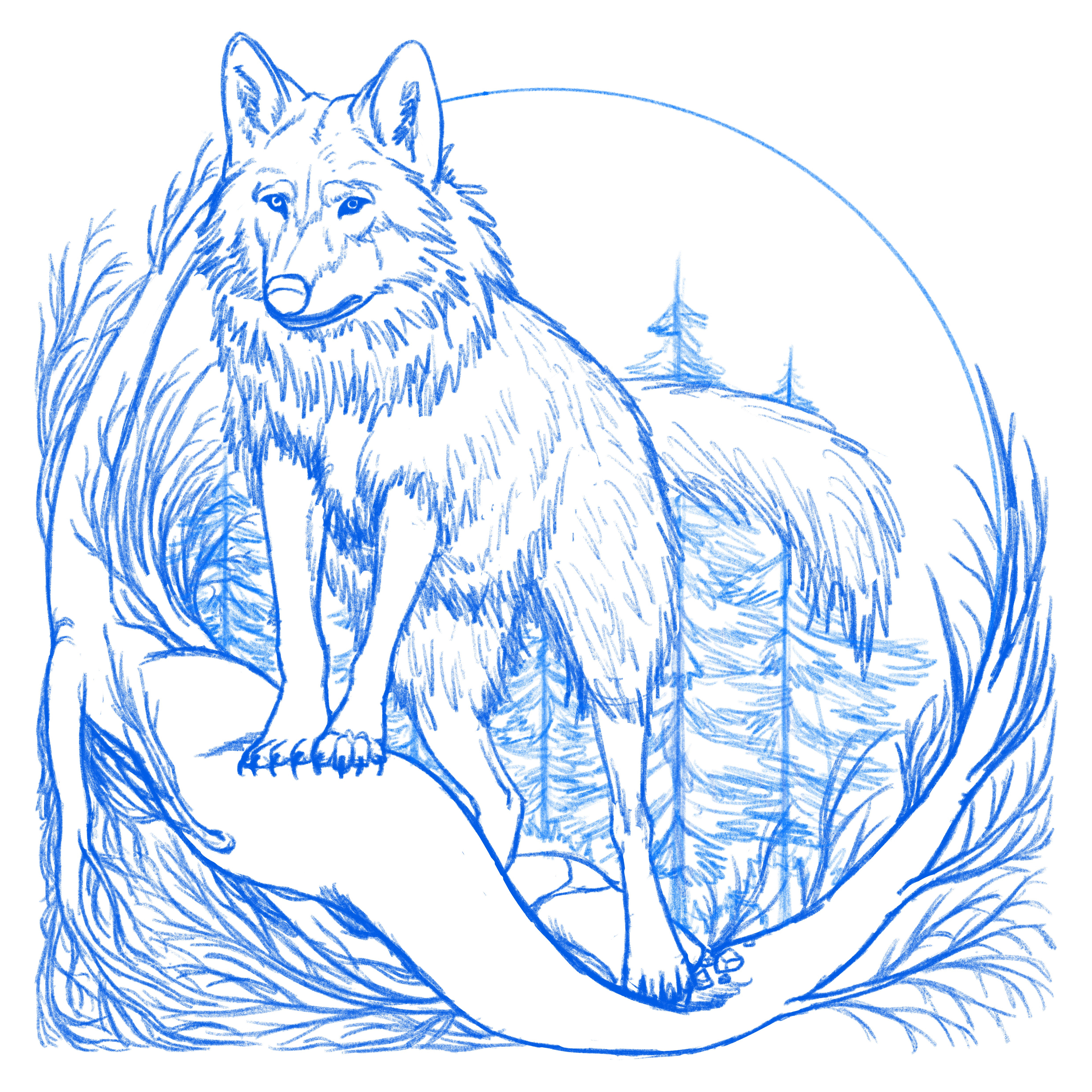 sketch