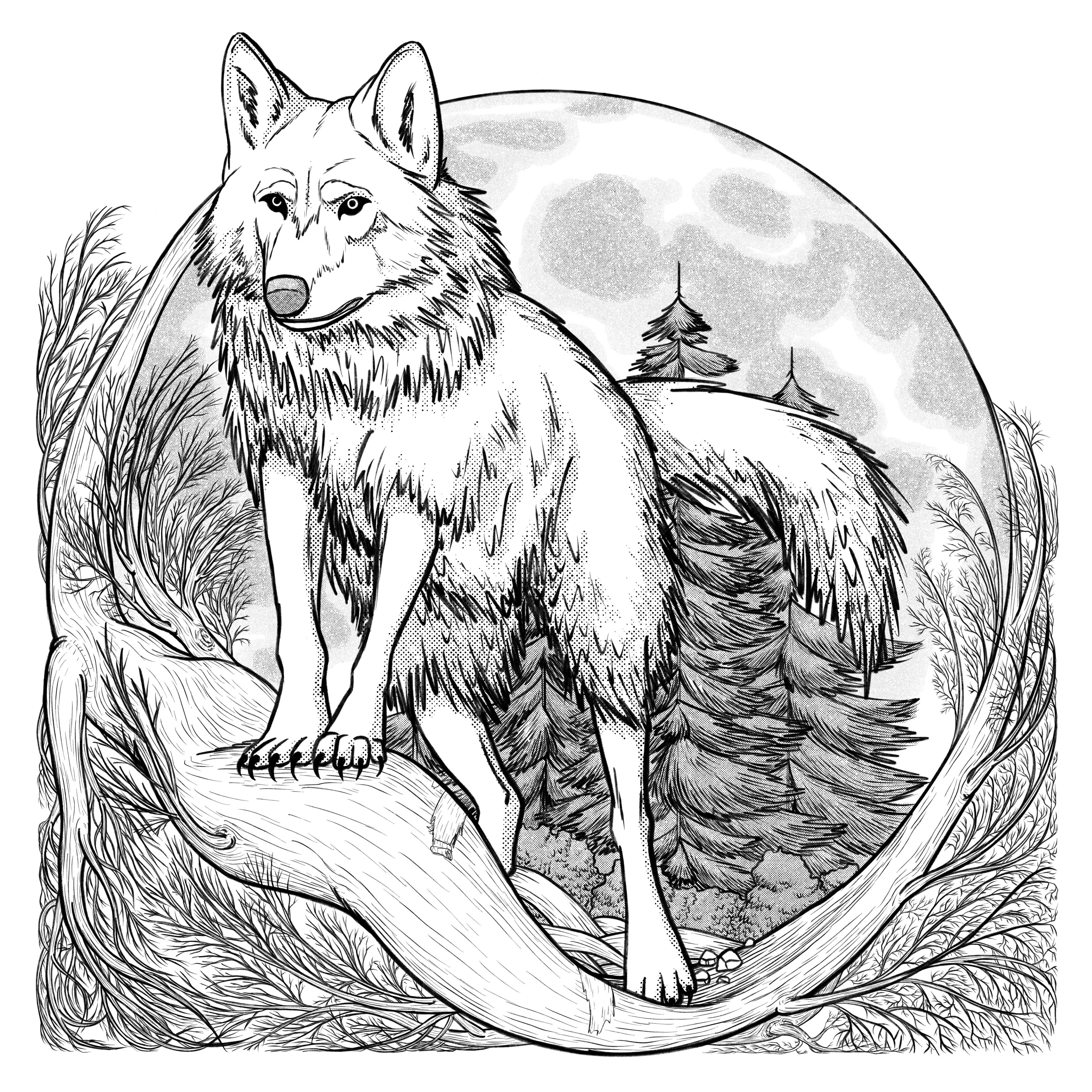 lineart