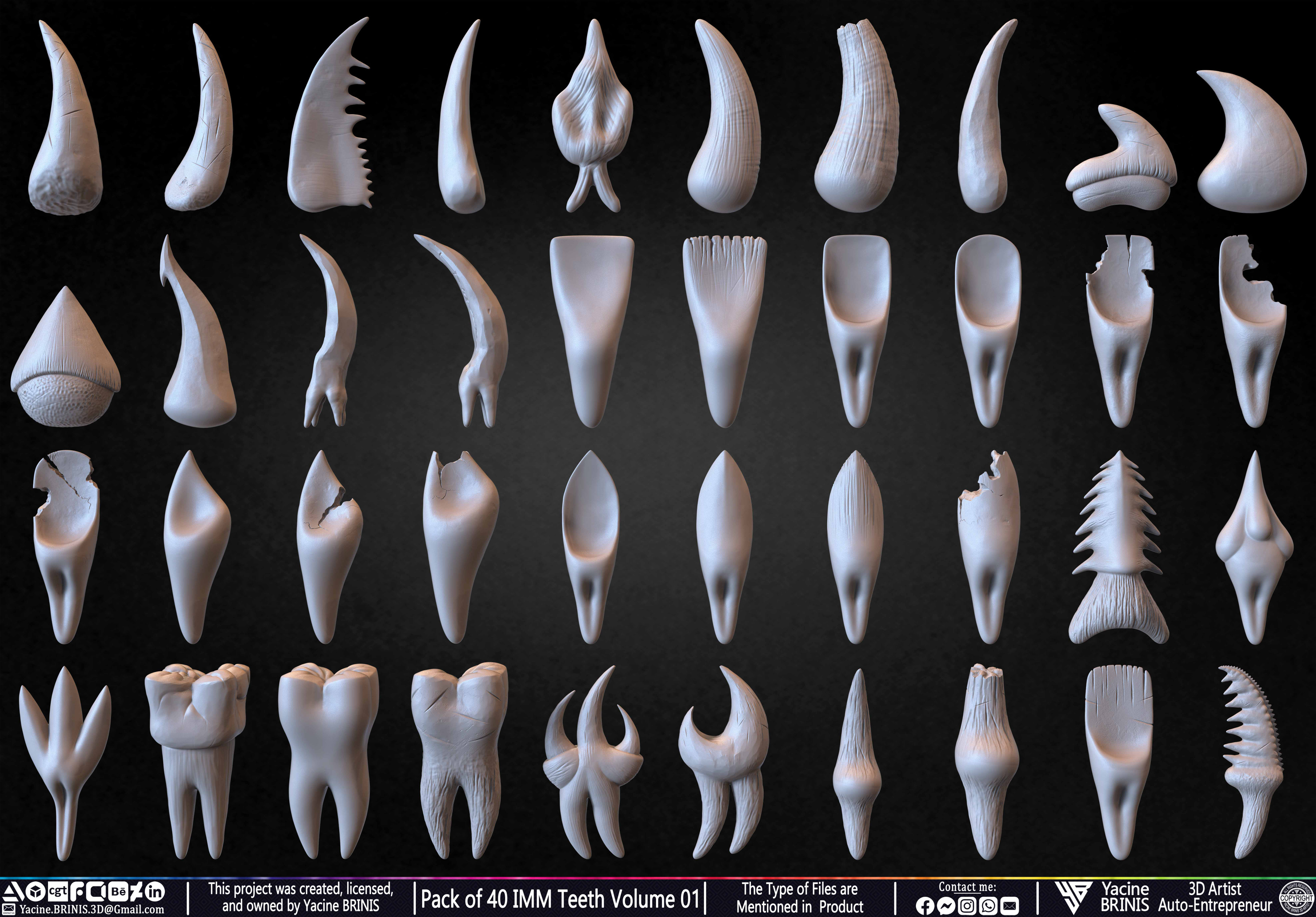 Pack of 40 IMM Teeth 3D Models for Humans Animals and Creatures Volume 01 Sculpted By Yacine BRINIS Set 003