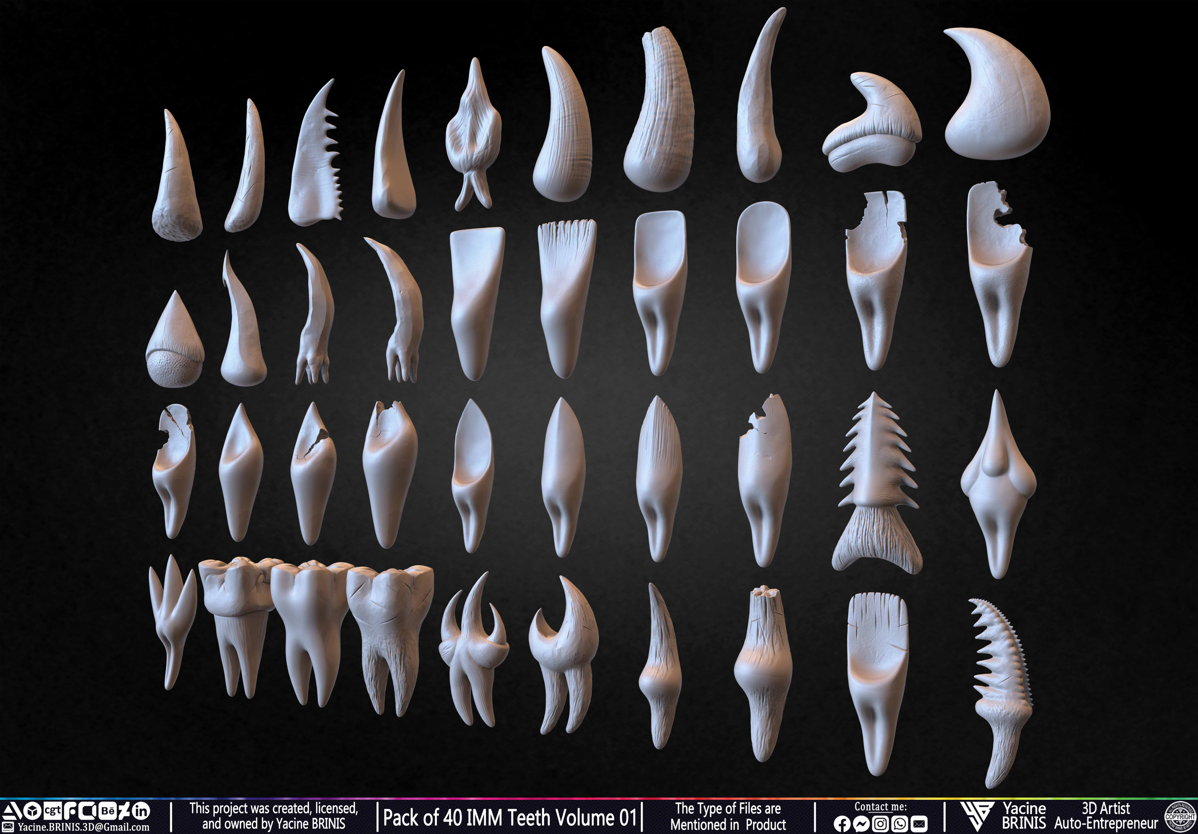 Pack of 40 IMM Teeth 3D Models for Humans Animals and Creatures Volume 01 Sculpted By Yacine BRINIS Set 005