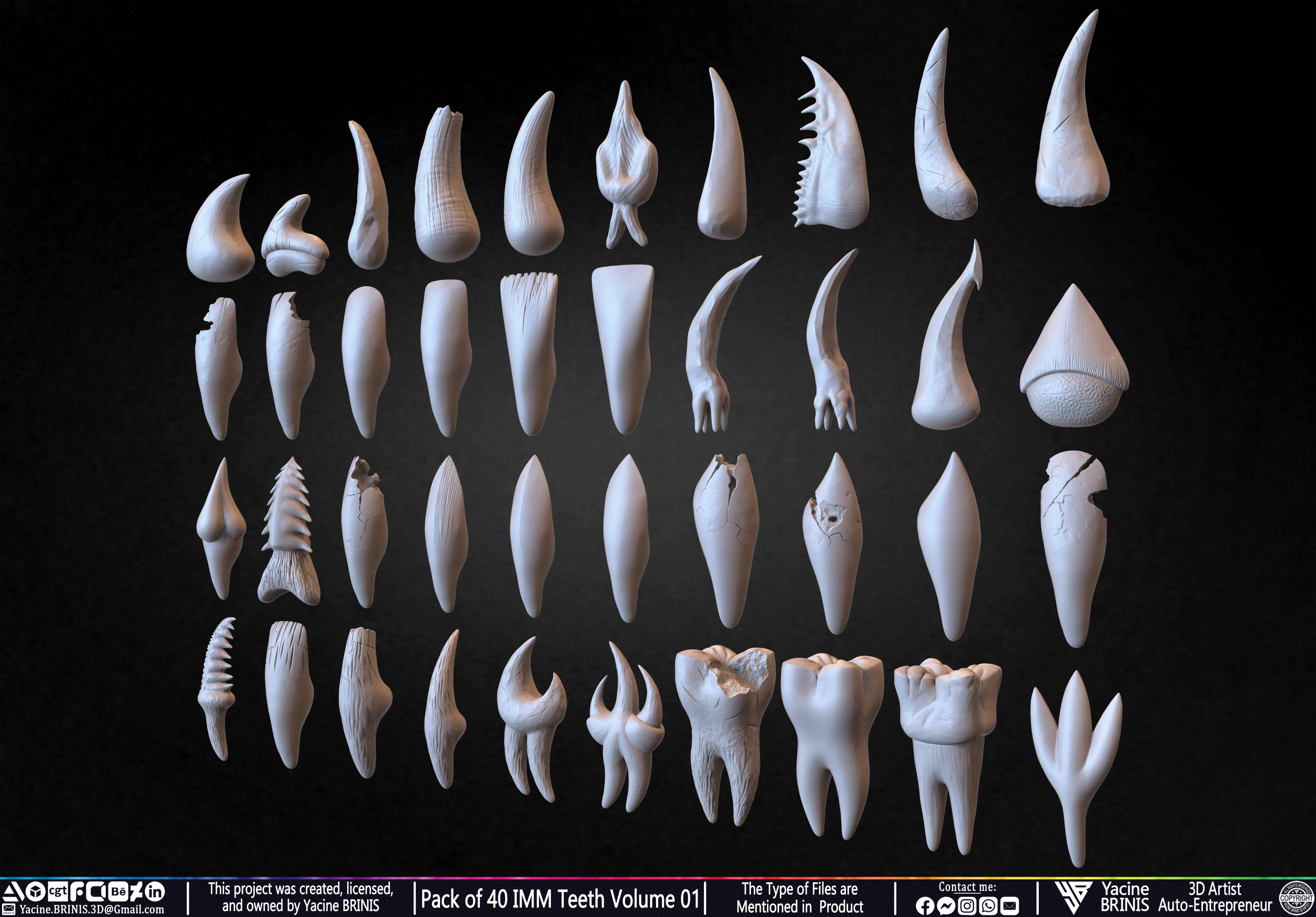 Pack of 40 IMM Teeth 3D Models for Humans Animals and Creatures Volume 01 Sculpted By Yacine BRINIS Set 009