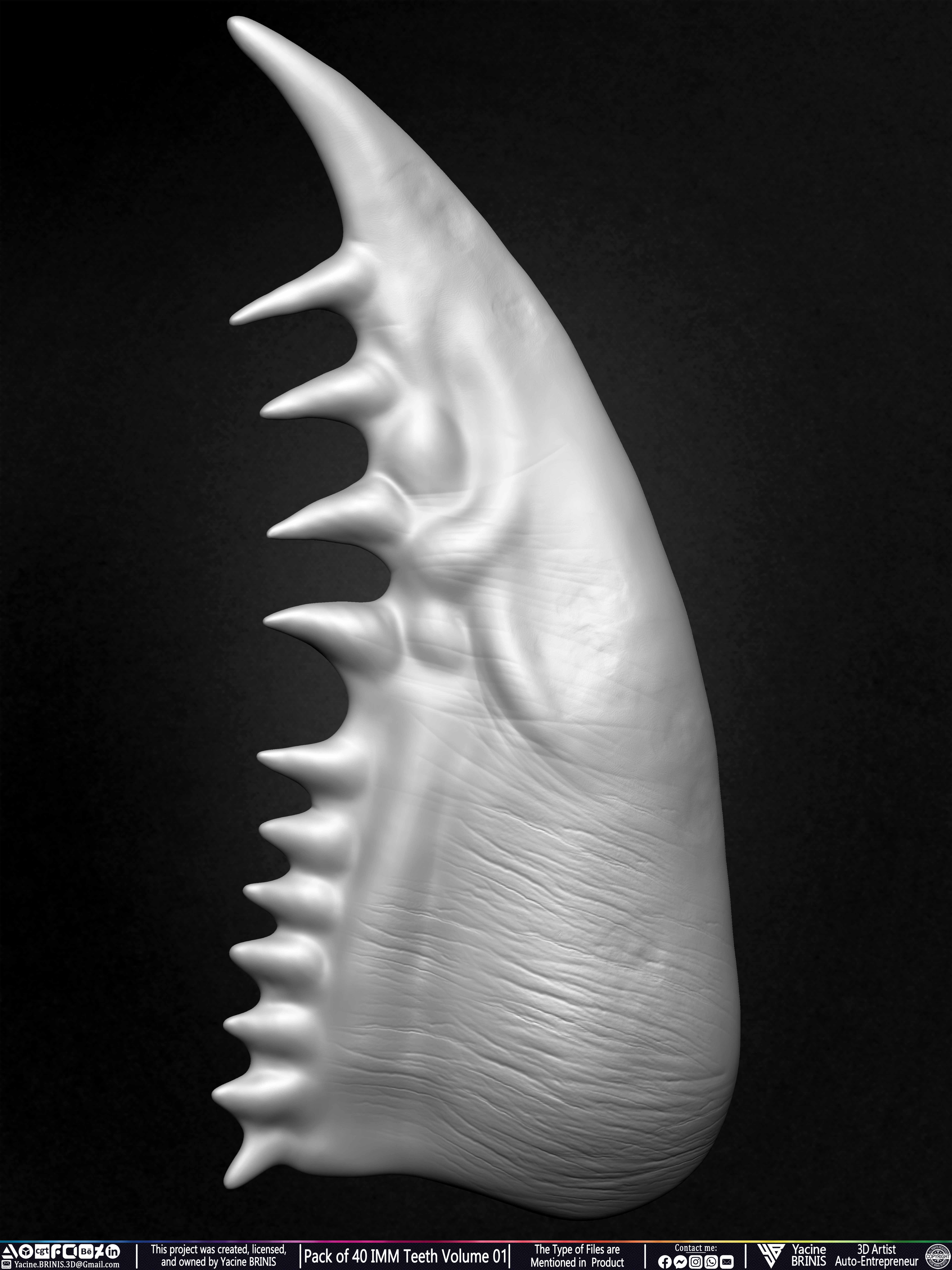 Pack of 40 IMM Teeth 3D Models for Humans Animals and Creatures Volume 01 Sculpted By Yacine BRINIS Set 014