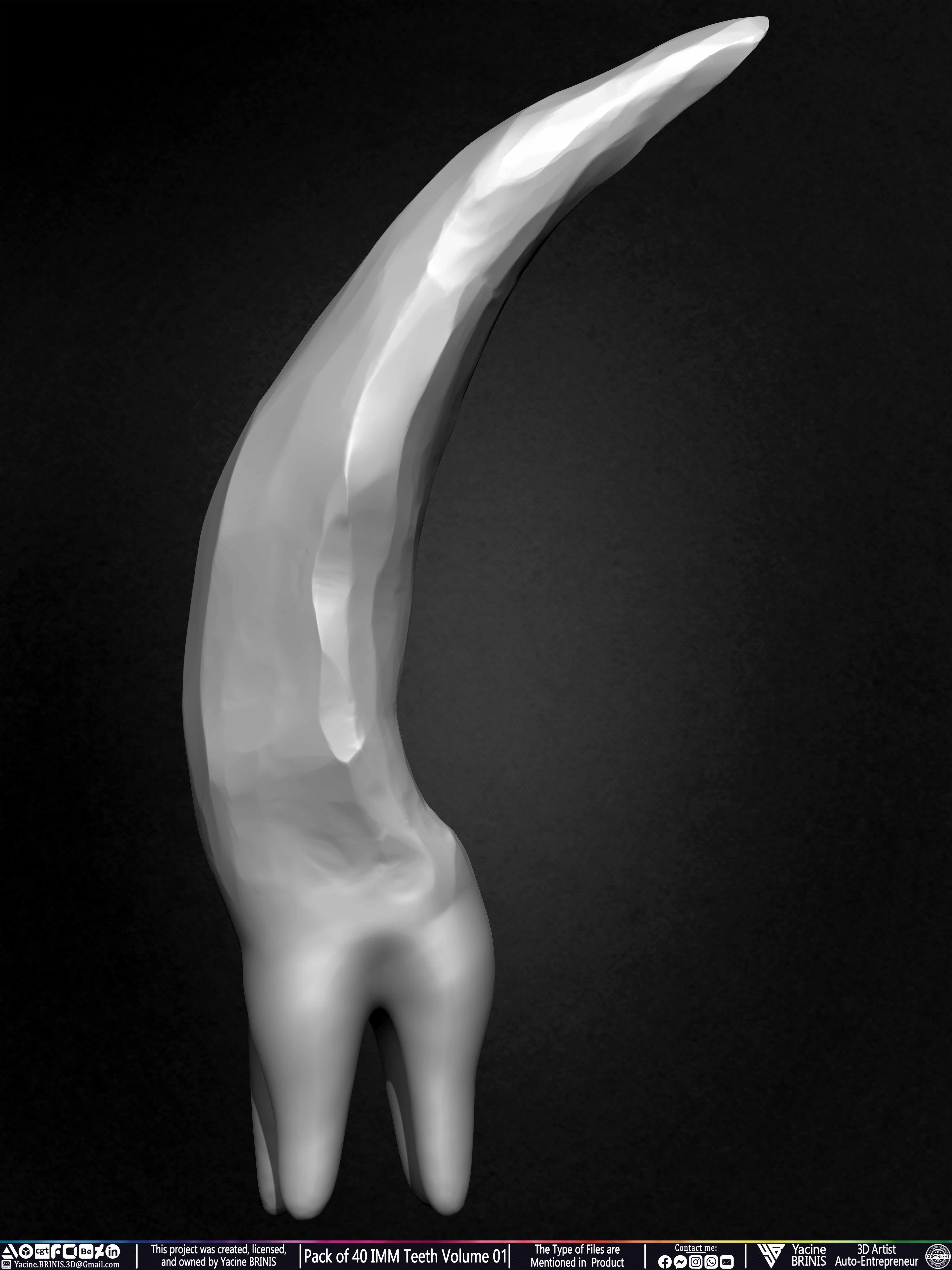 Pack of 40 IMM Teeth 3D Models for Humans Animals and Creatures Volume 01 Sculpted By Yacine BRINIS Set 025