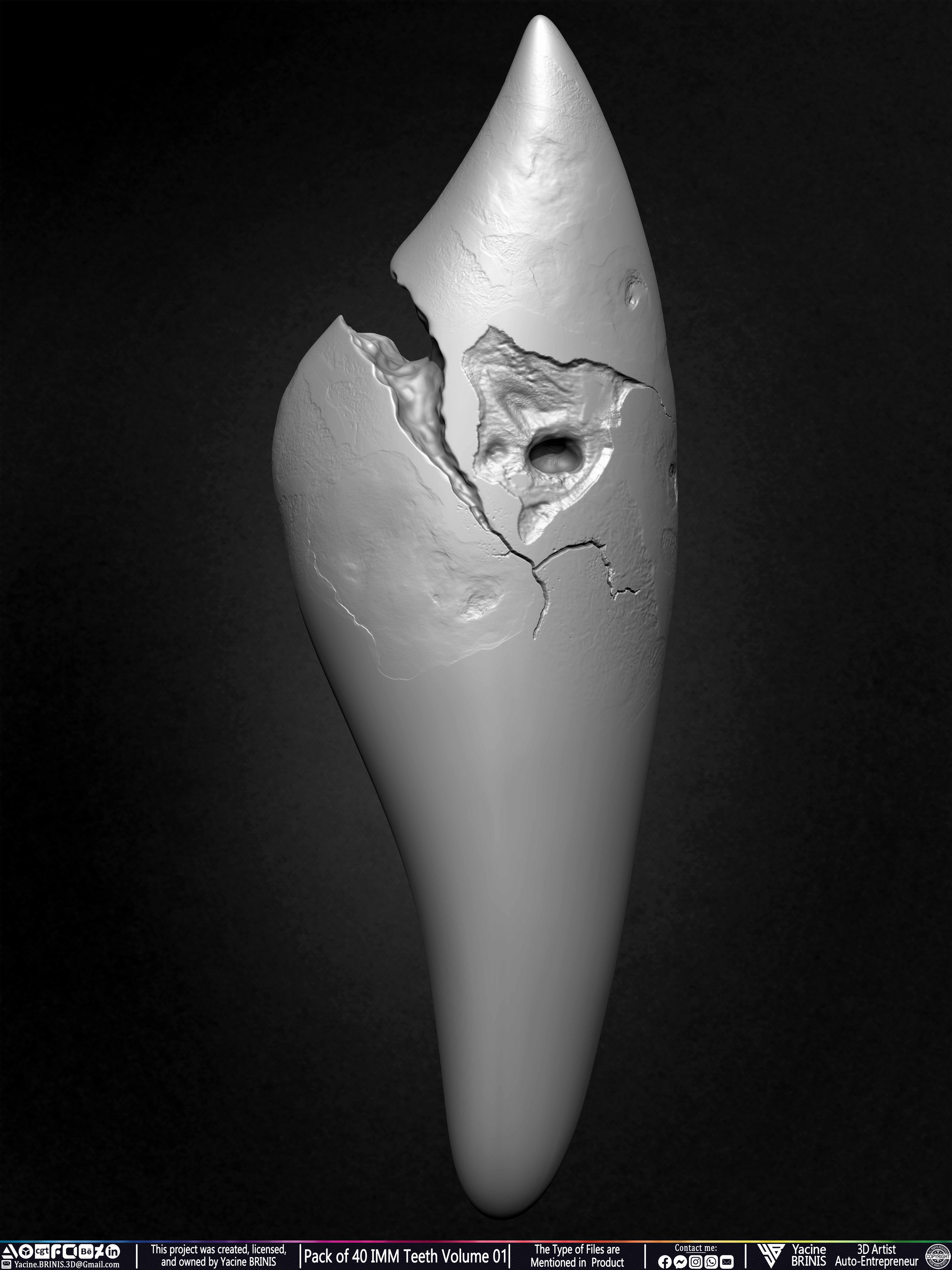 Pack of 40 IMM Teeth 3D Models for Humans Animals and Creatures Volume 01 Sculpted By Yacine BRINIS Set 033