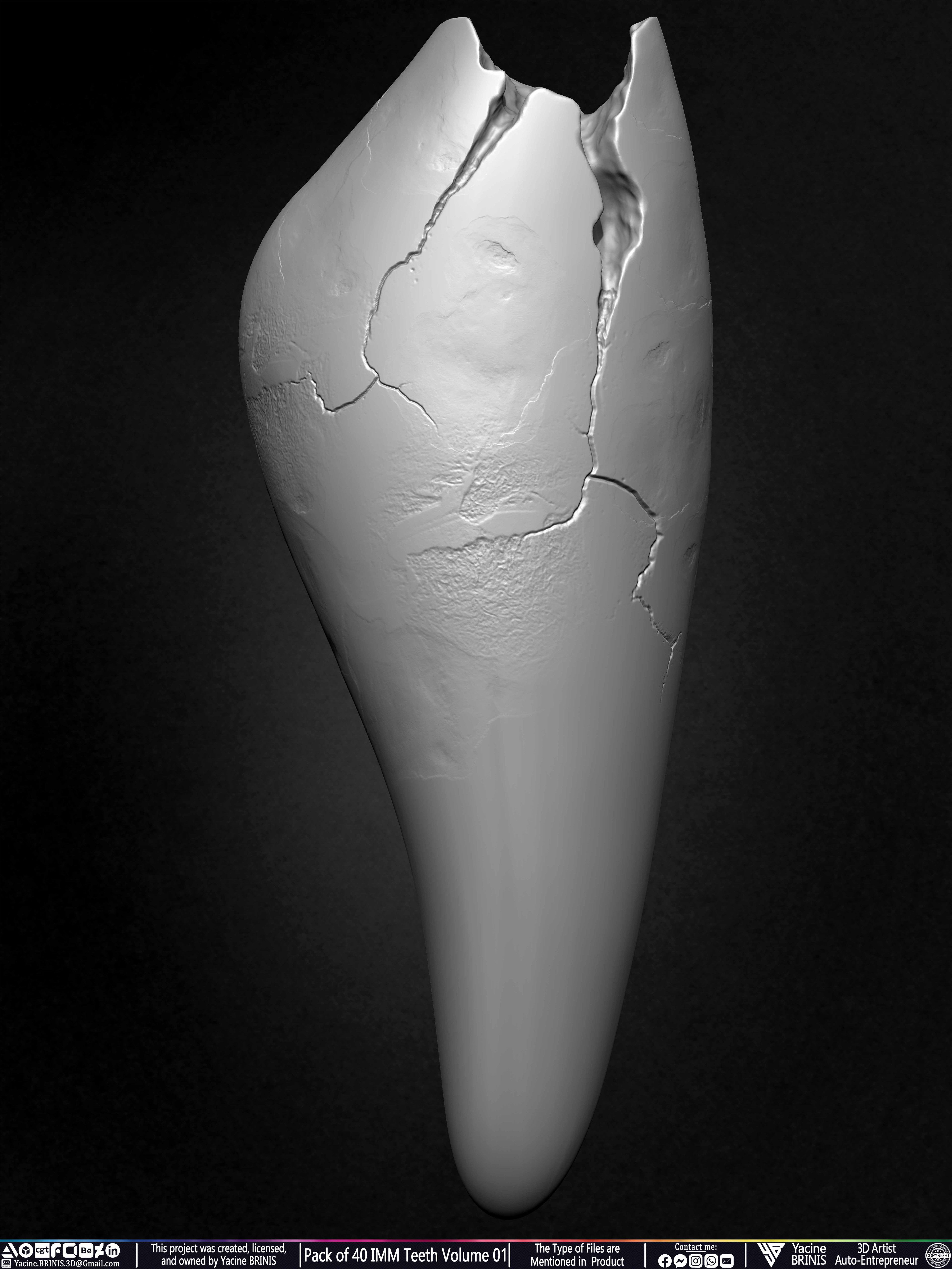 Pack of 40 IMM Teeth 3D Models for Humans Animals and Creatures Volume 01 Sculpted By Yacine BRINIS Set 034