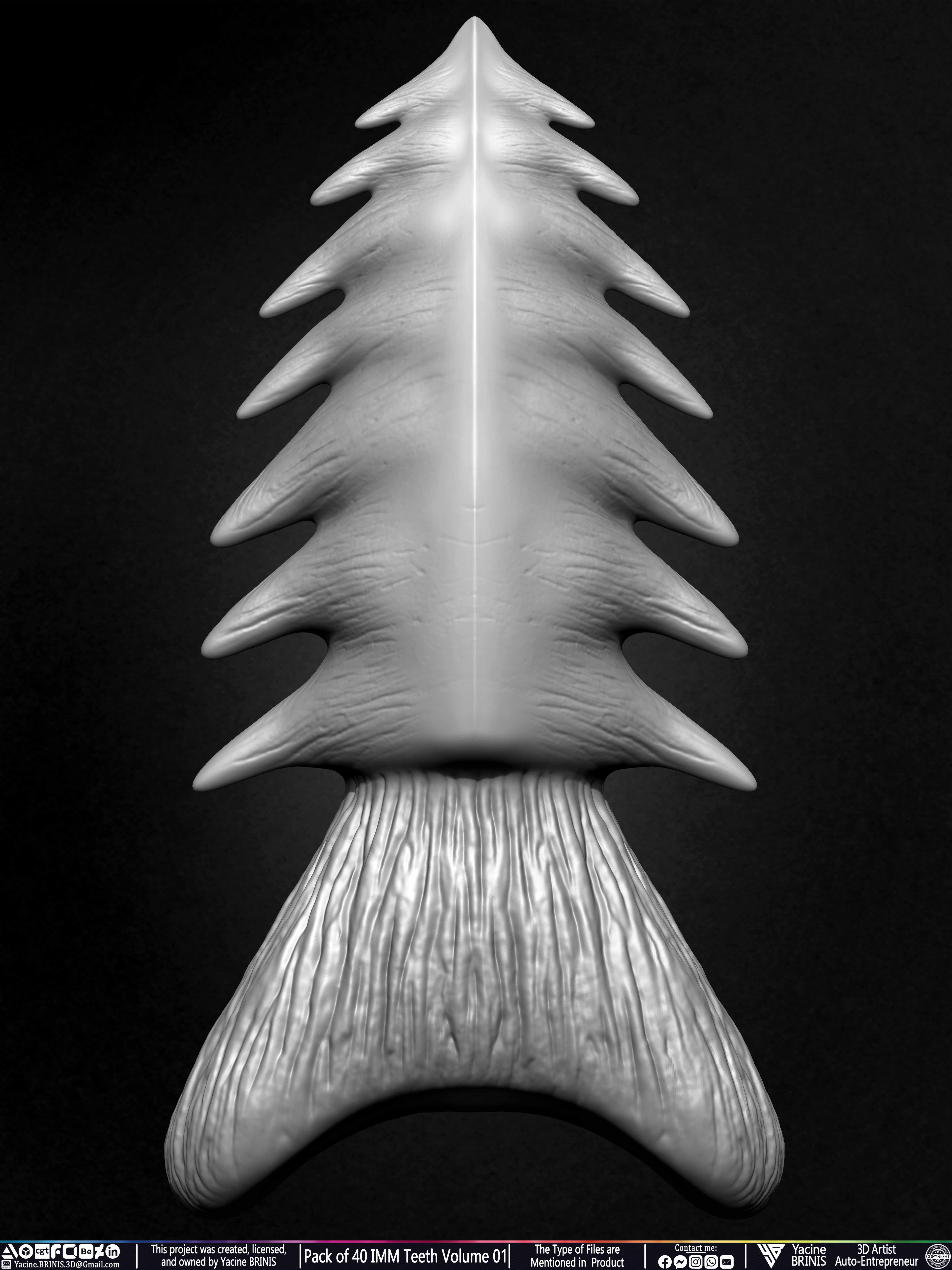 Pack of 40 IMM Teeth 3D Models for Humans Animals and Creatures Volume 01 Sculpted By Yacine BRINIS Set 039