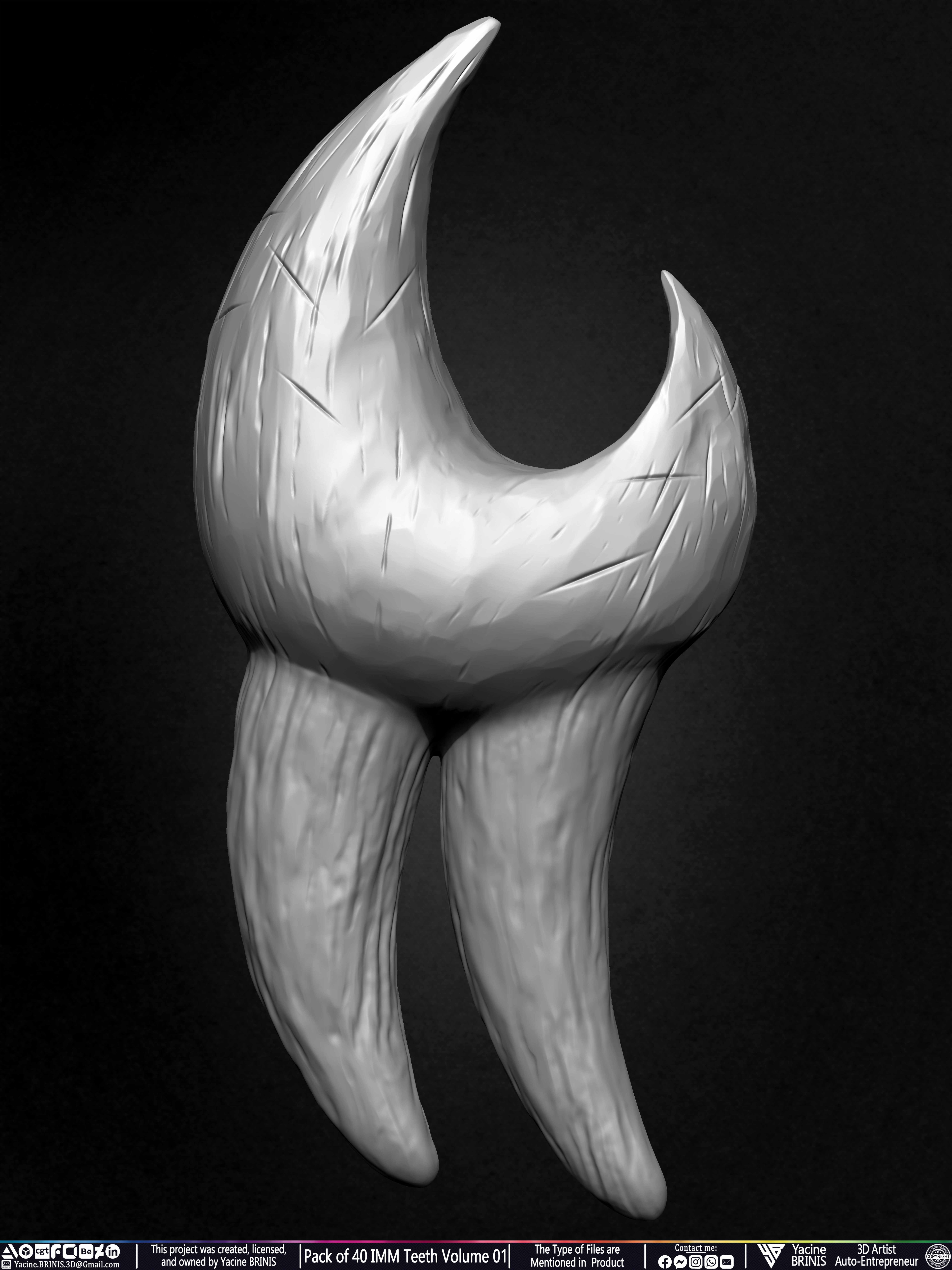 Pack of 40 IMM Teeth 3D Models for Humans Animals and Creatures Volume 01 Sculpted By Yacine BRINIS Set 045