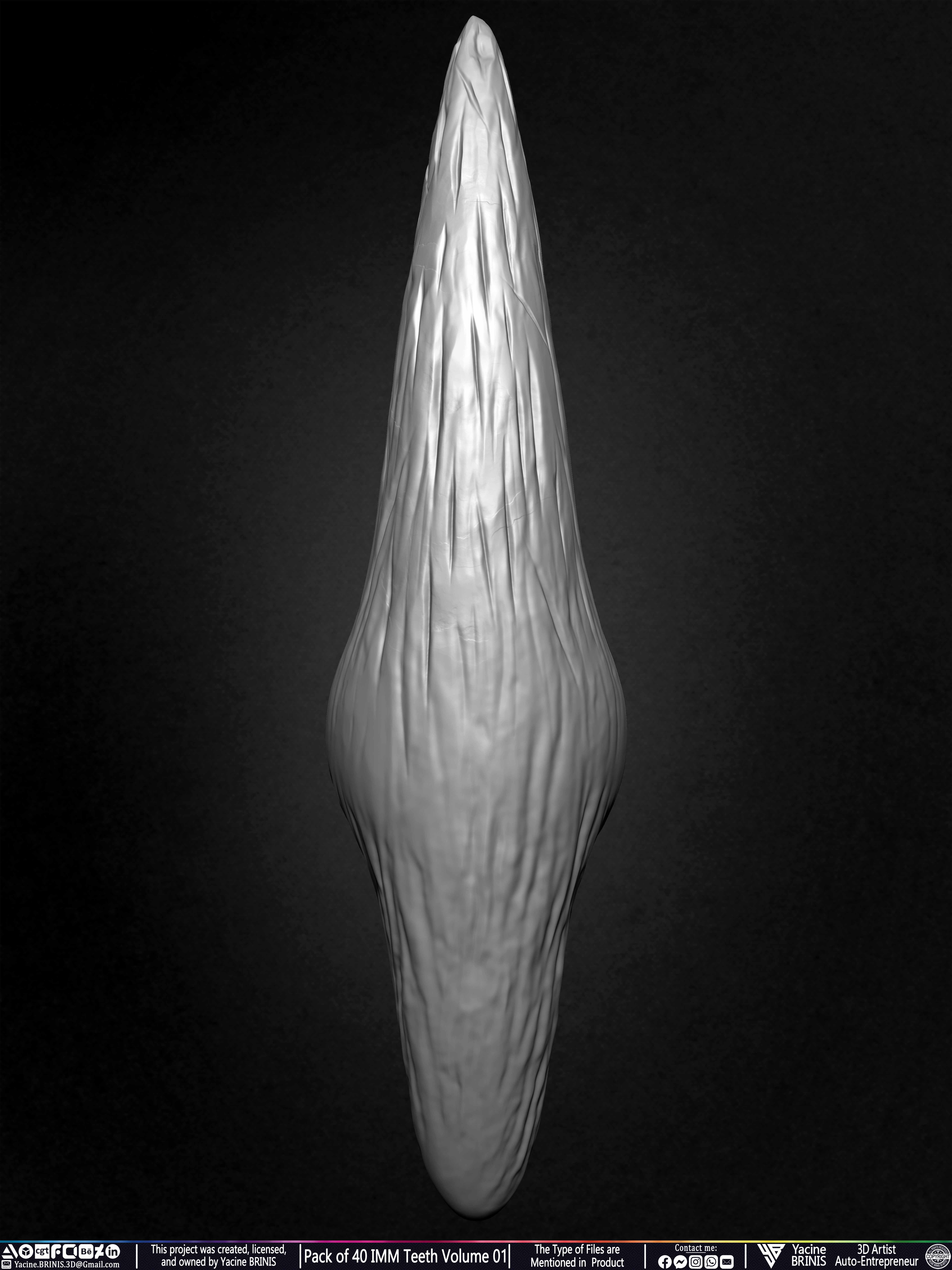 Pack of 40 IMM Teeth 3D Models for Humans Animals and Creatures Volume 01 Sculpted By Yacine BRINIS Set 046