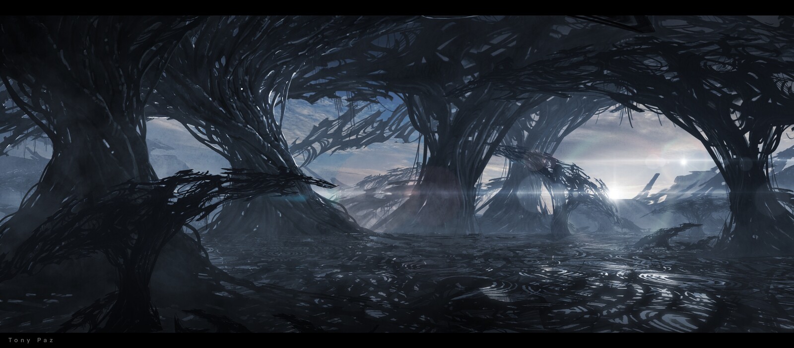 Symbiote Land