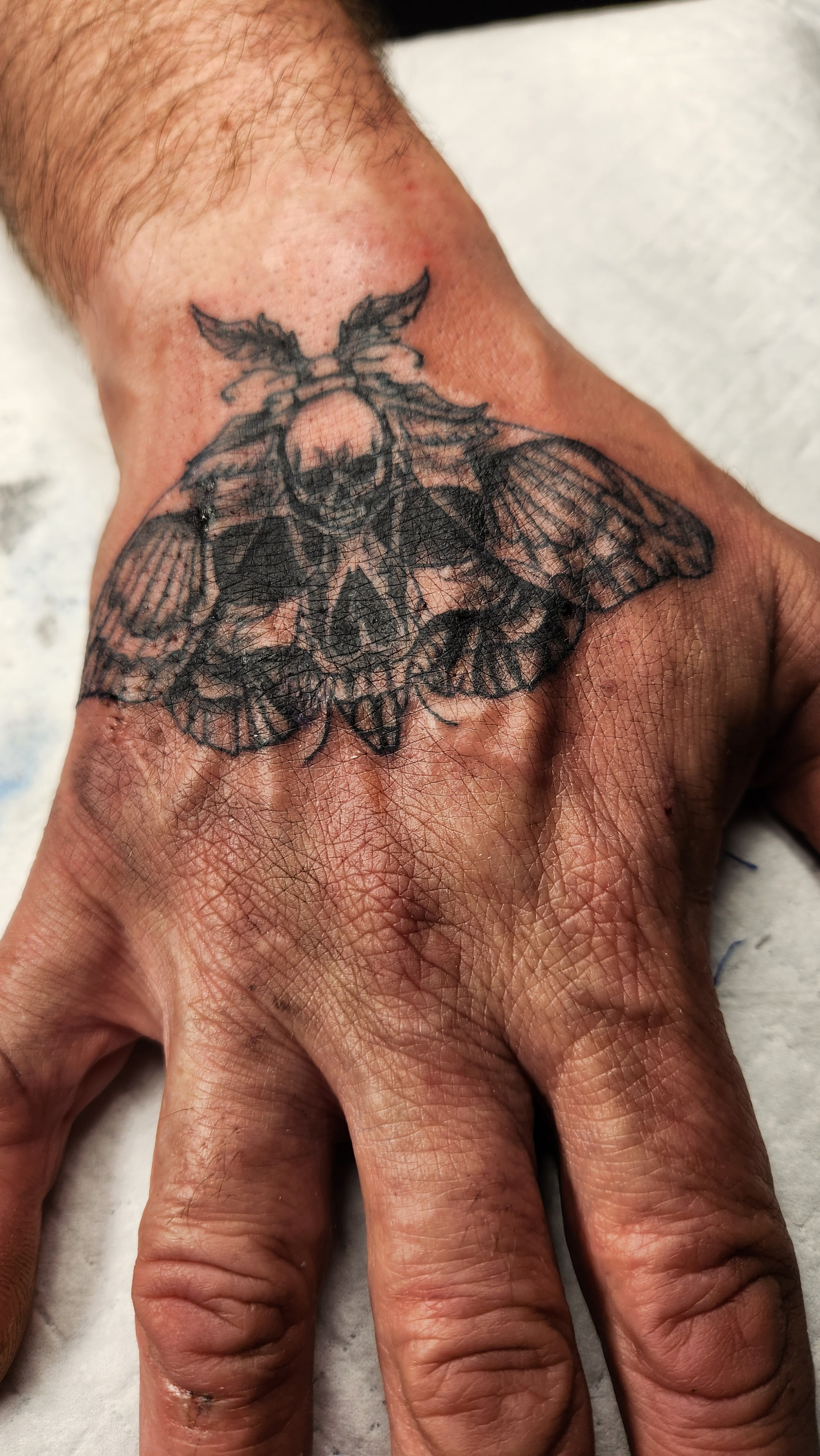 Complete the death moth tattoo for display.