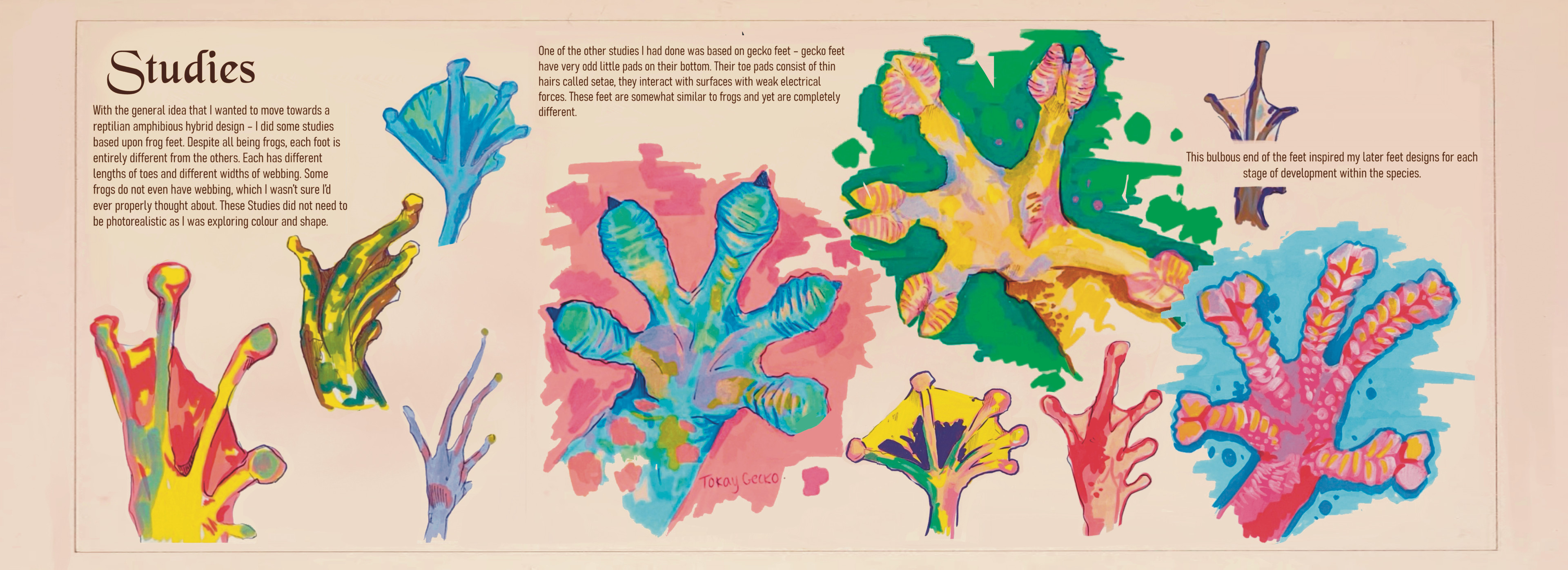 Studies - early development