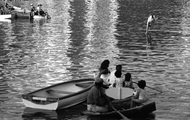 Malta. Man diving