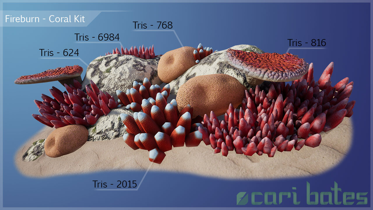 Coral collection environment asset