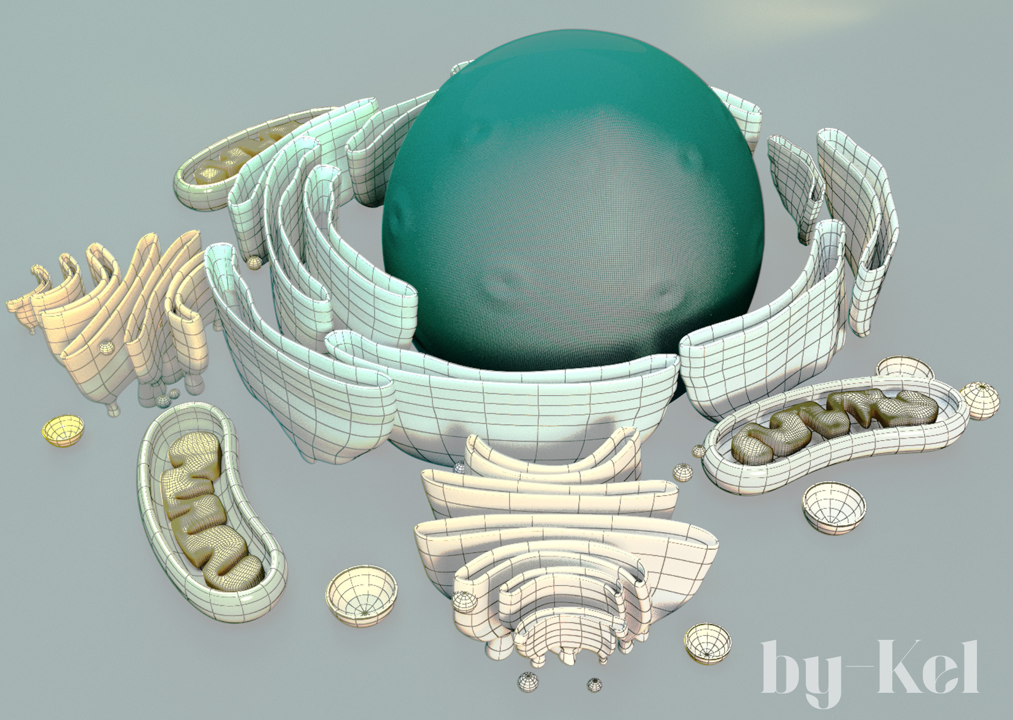 Eukaryotic Cell - 3D model highlighting organelle topology and spatial layout. Includes nucleus, mitochondria, ER, and Golgi. Rendered in semi-wireframe for structural clarity.
Modeled in Maya | by Kel