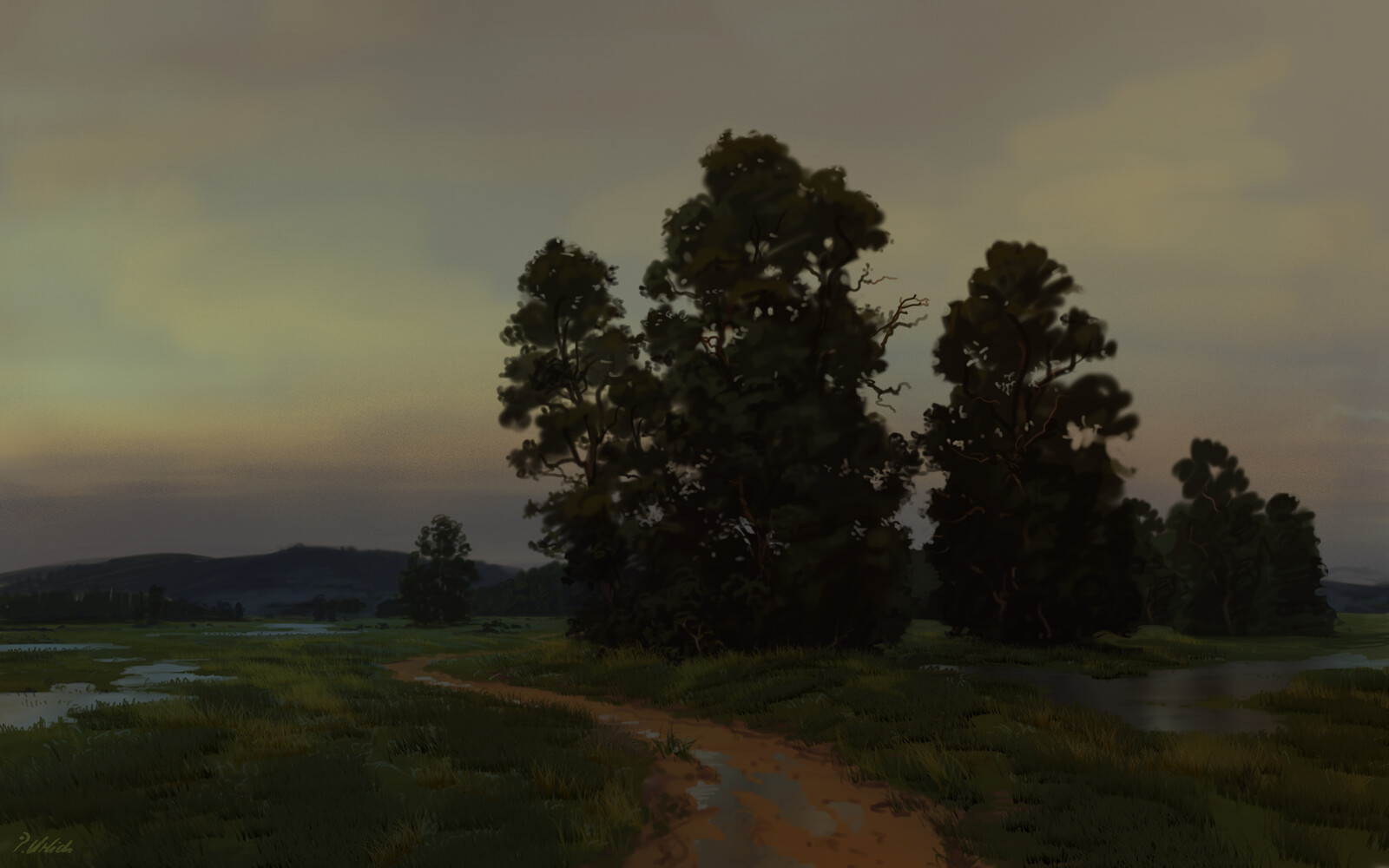 Dawn