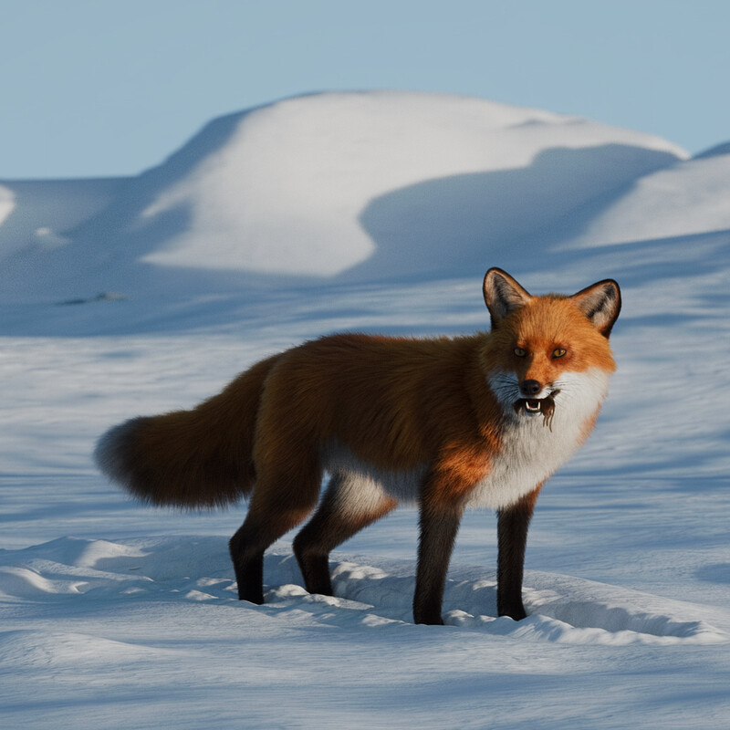 Red Fox Animation