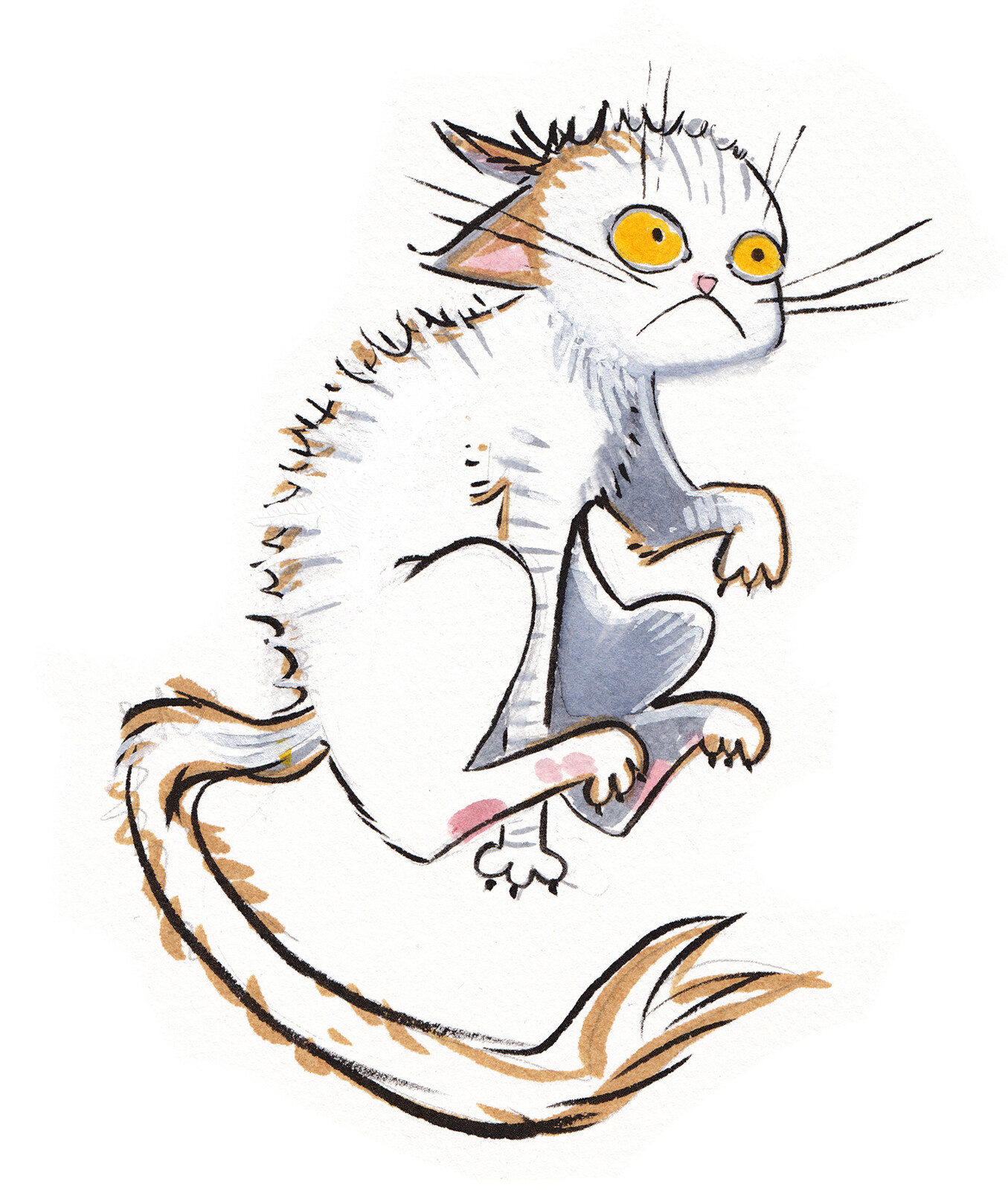 Boy do I love drawing cats