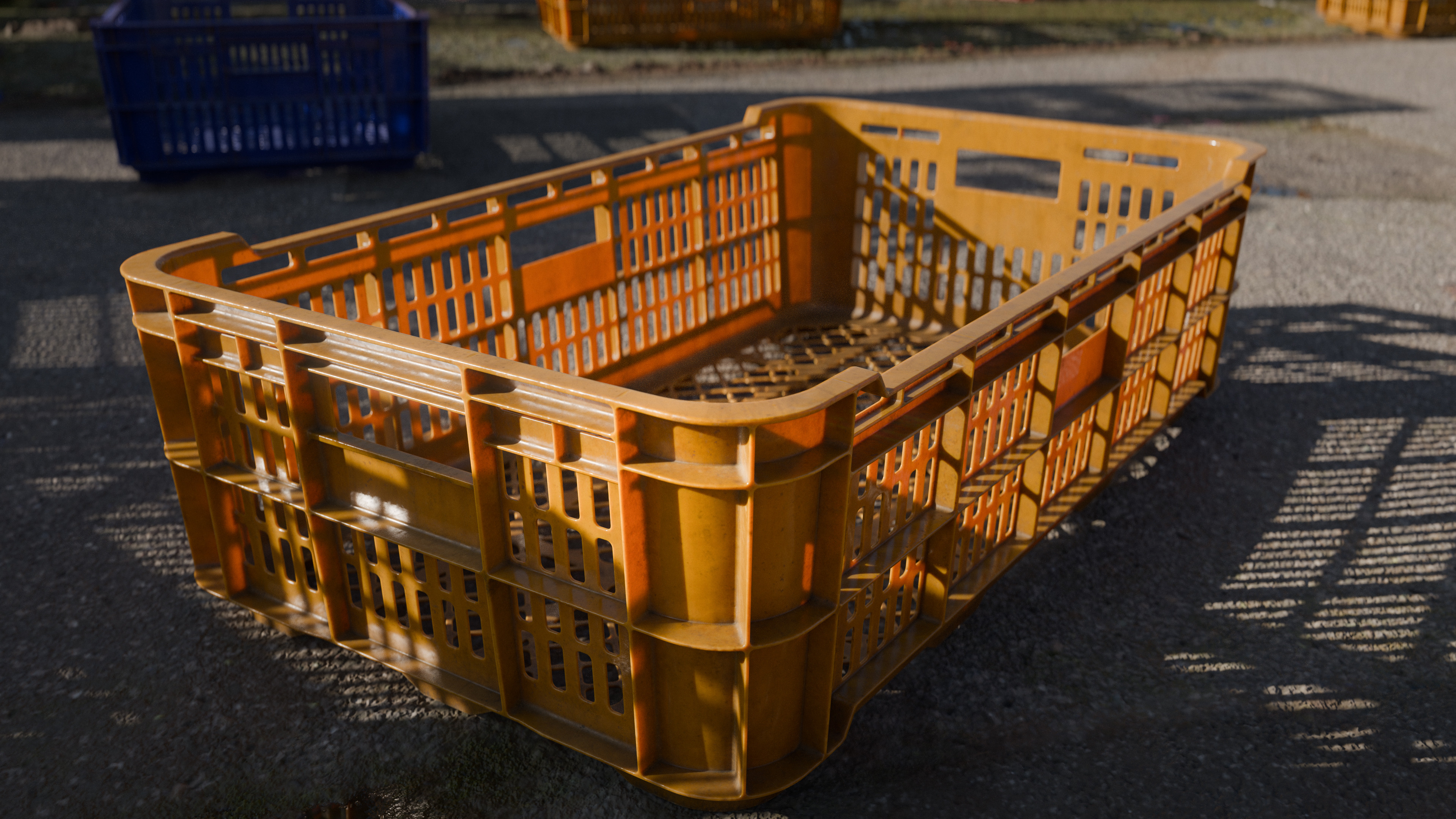 Plastic Crate - Showcase | Closeup