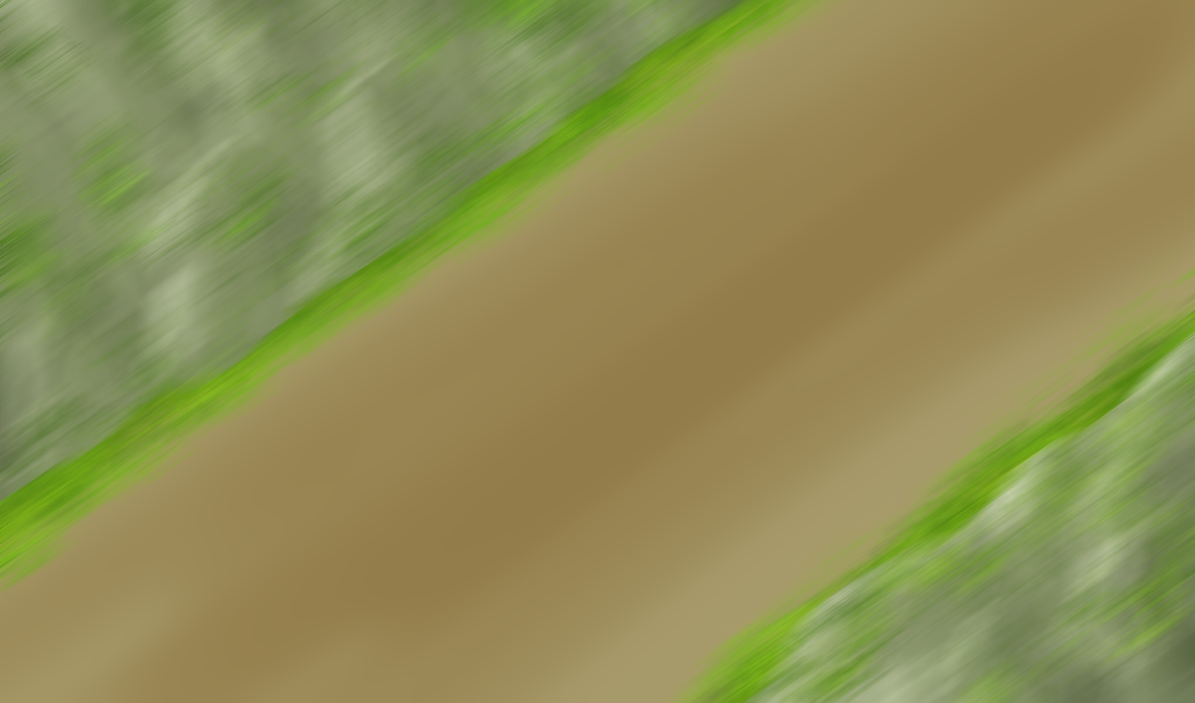 BG animation loop layout and paint