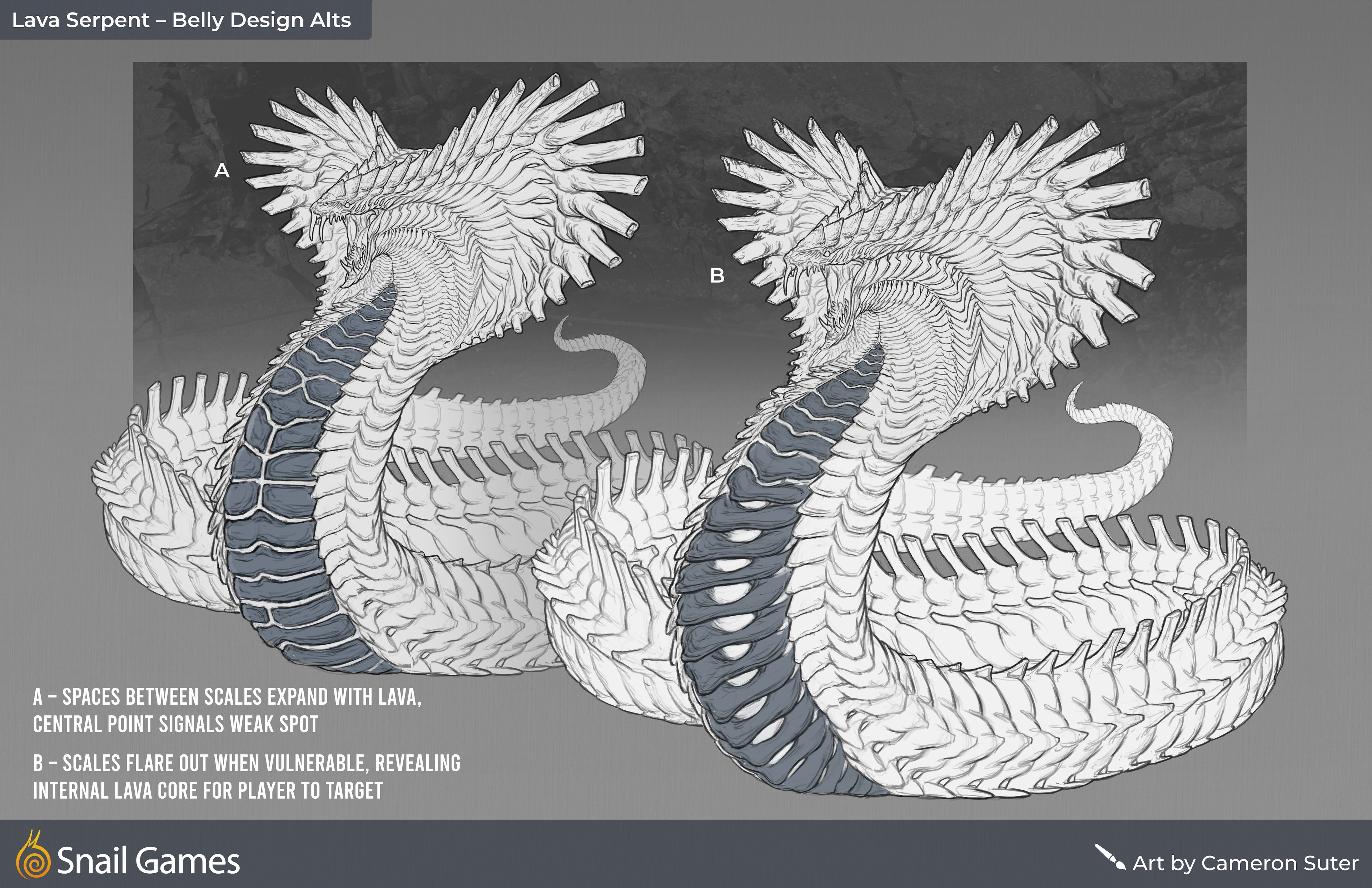 Belly Scale Variations