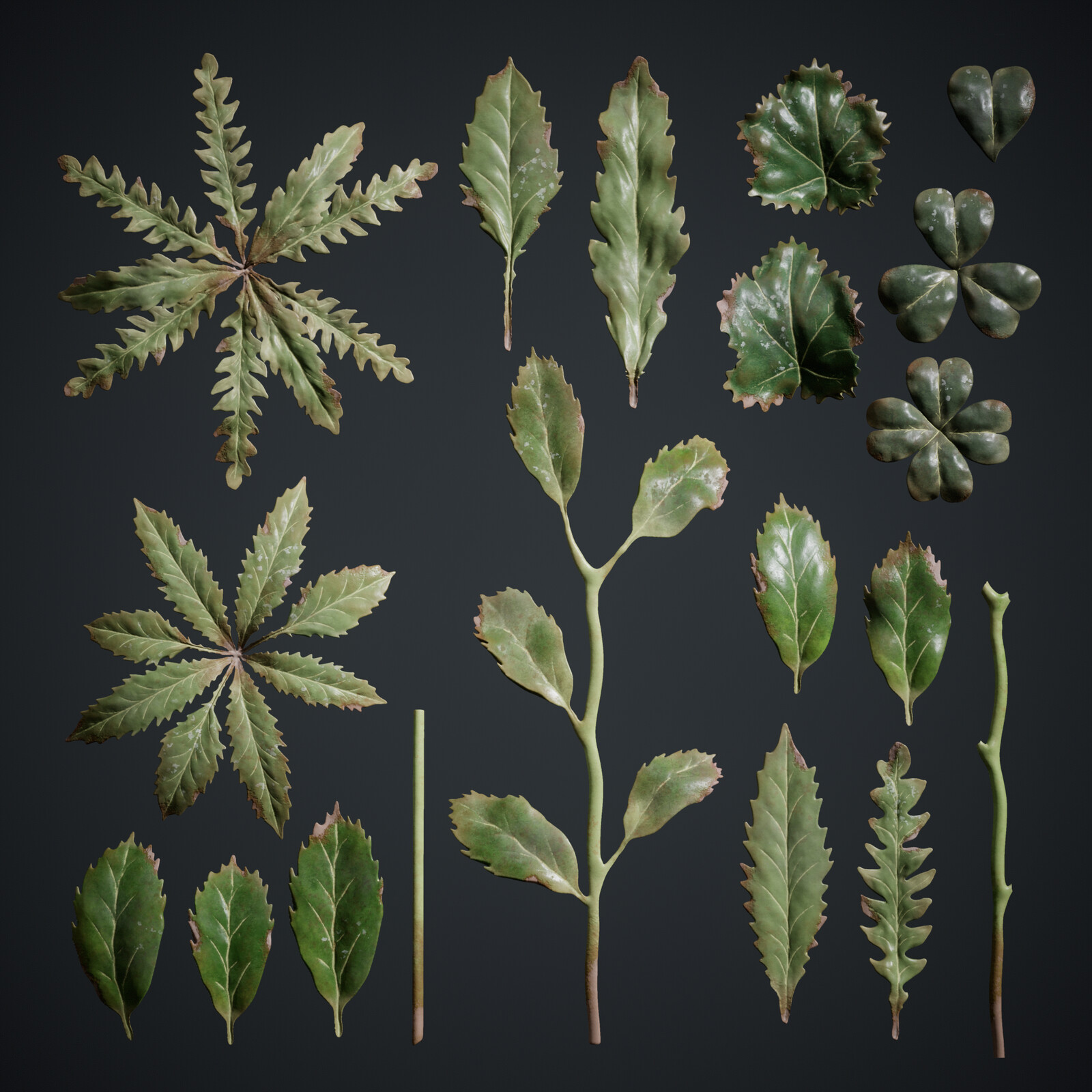 Small Plants Atlas