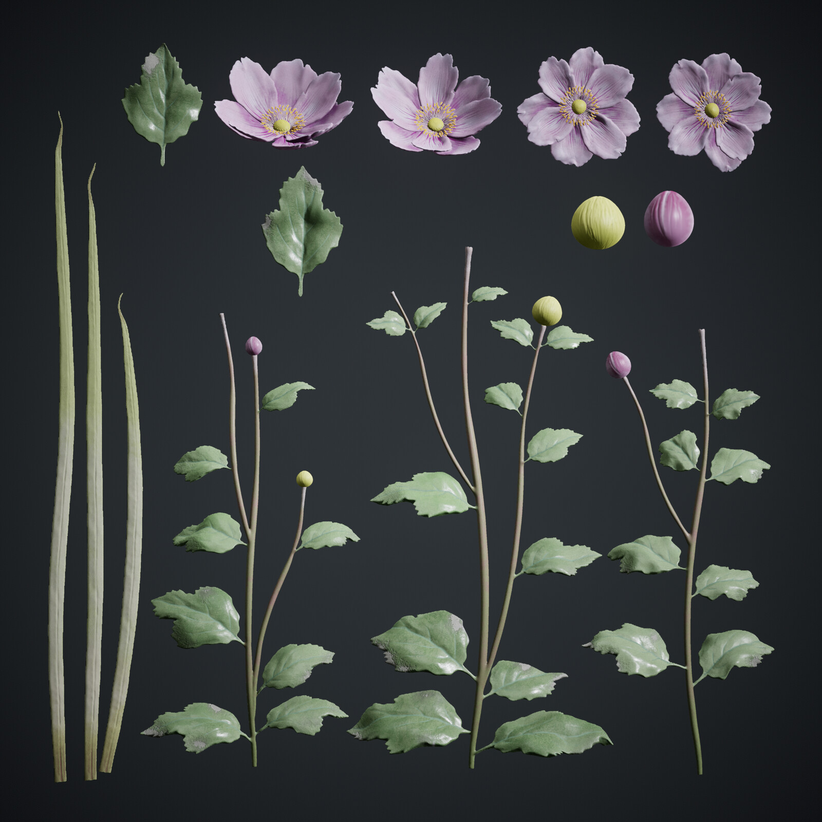 Eriocapitella Hupehnsis (Anemone Flower) + Grass Atlas