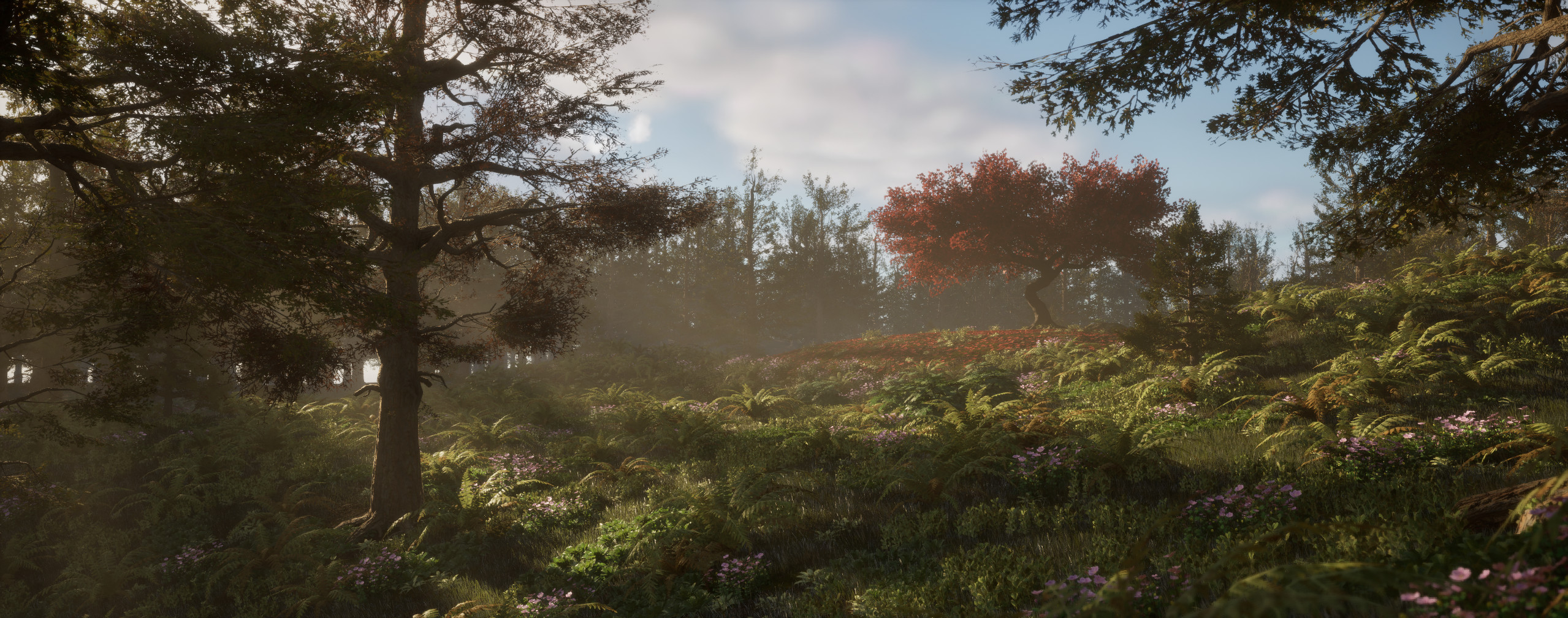 Test Scene