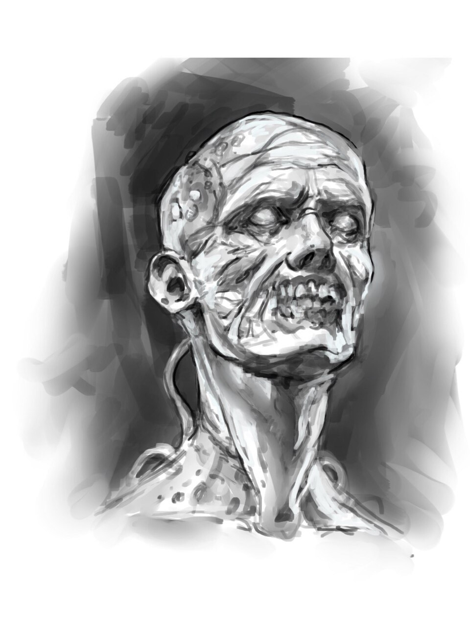 Sketches