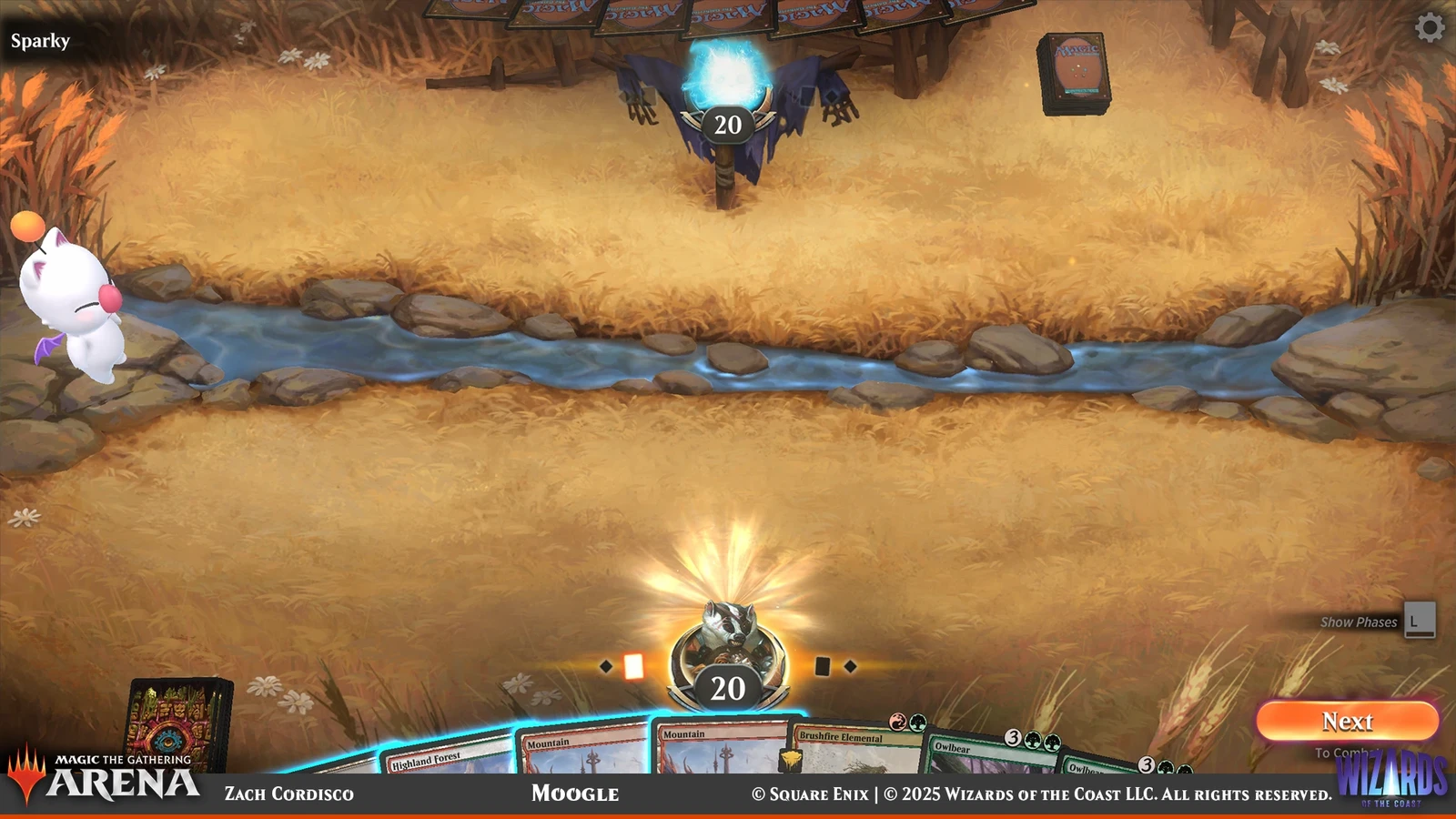 Game view