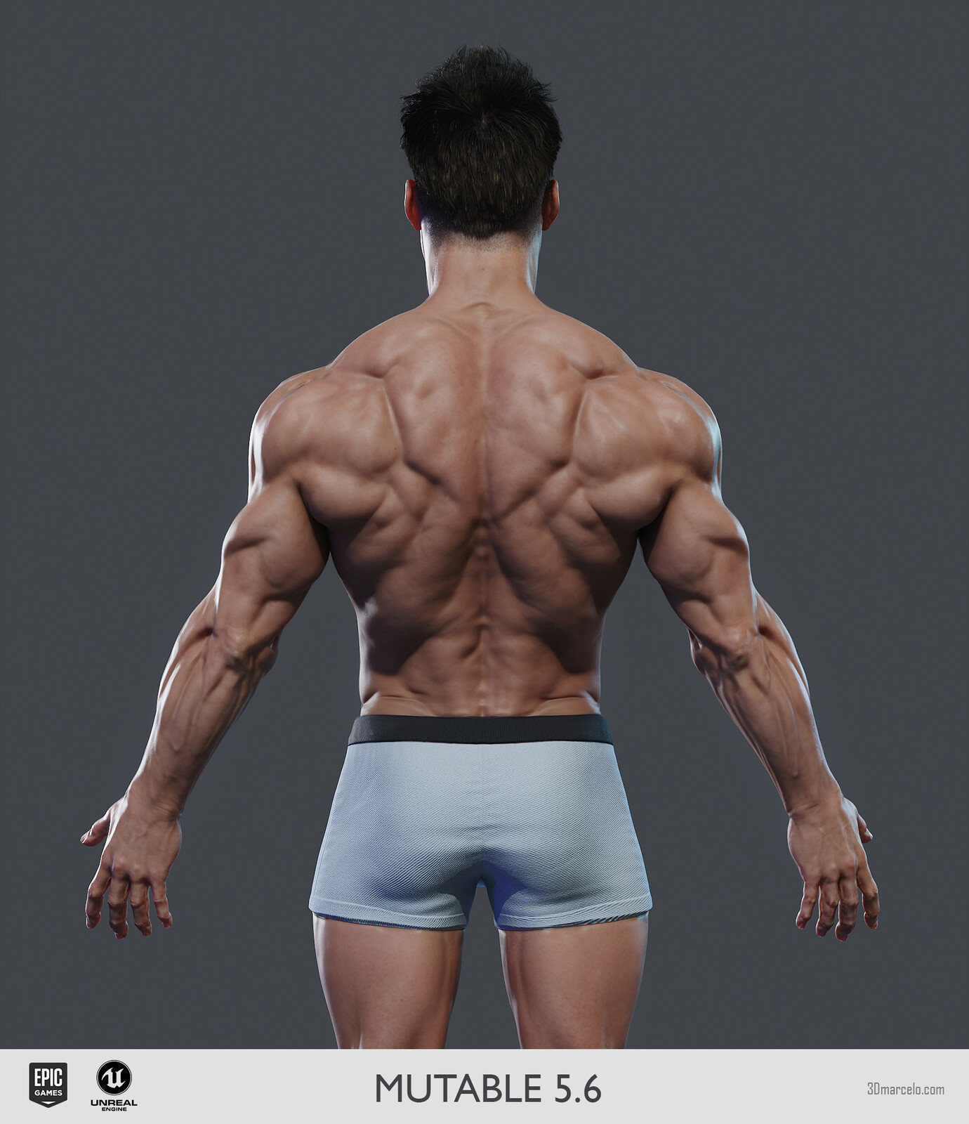 Bodybuilder Body