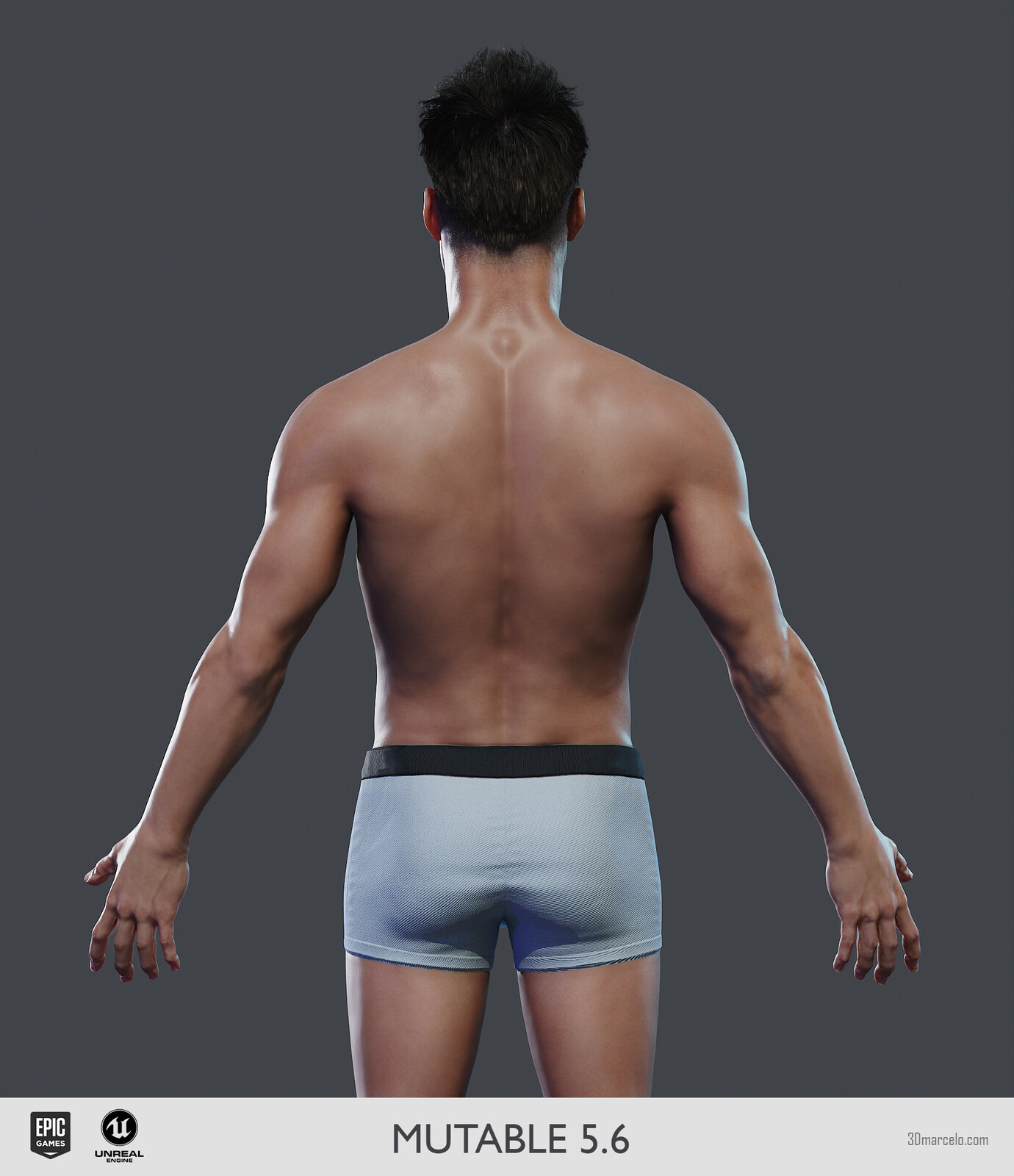 Regular Body