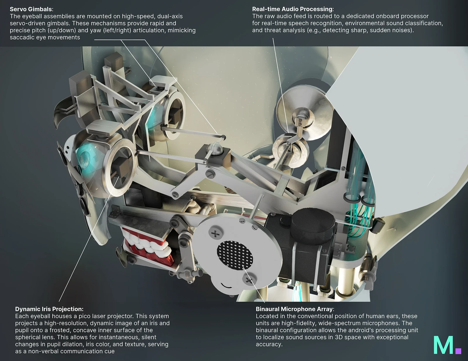 Prototype head detail C
