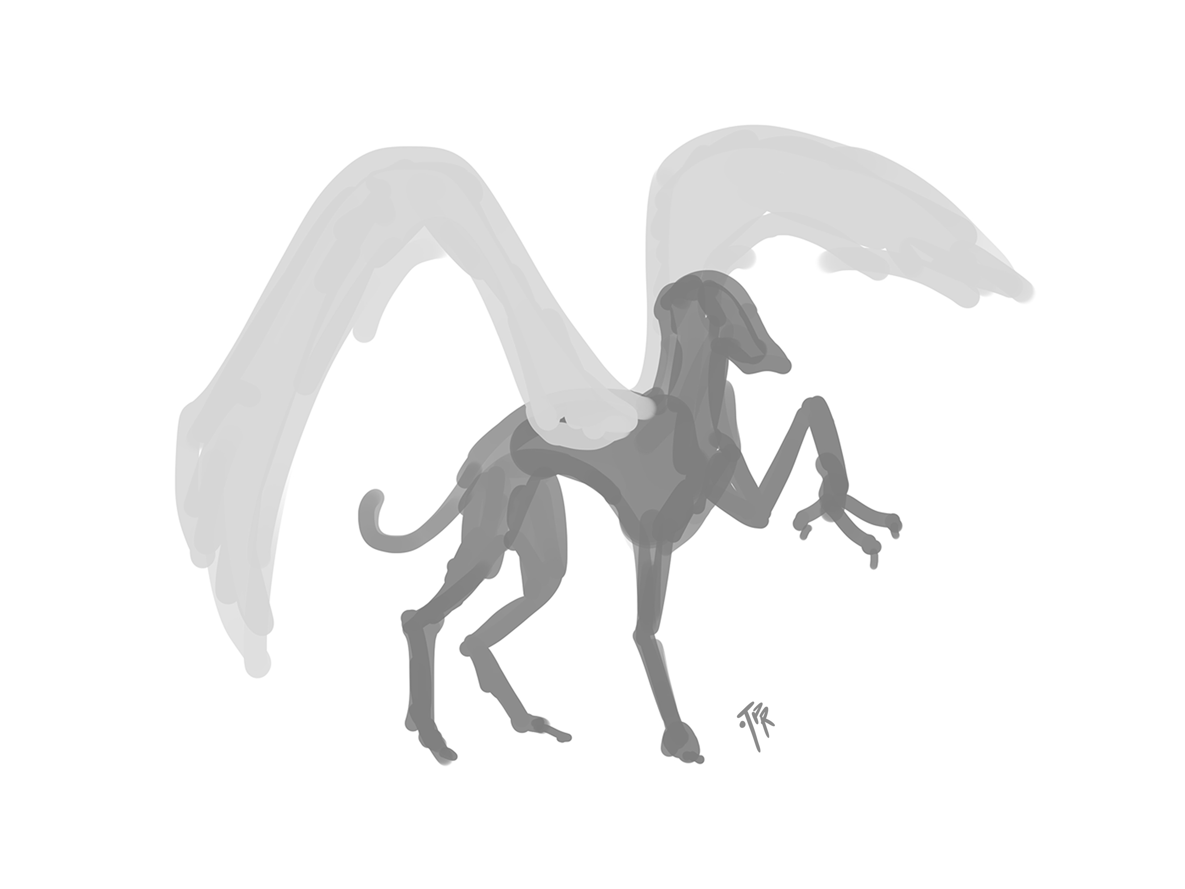sketch