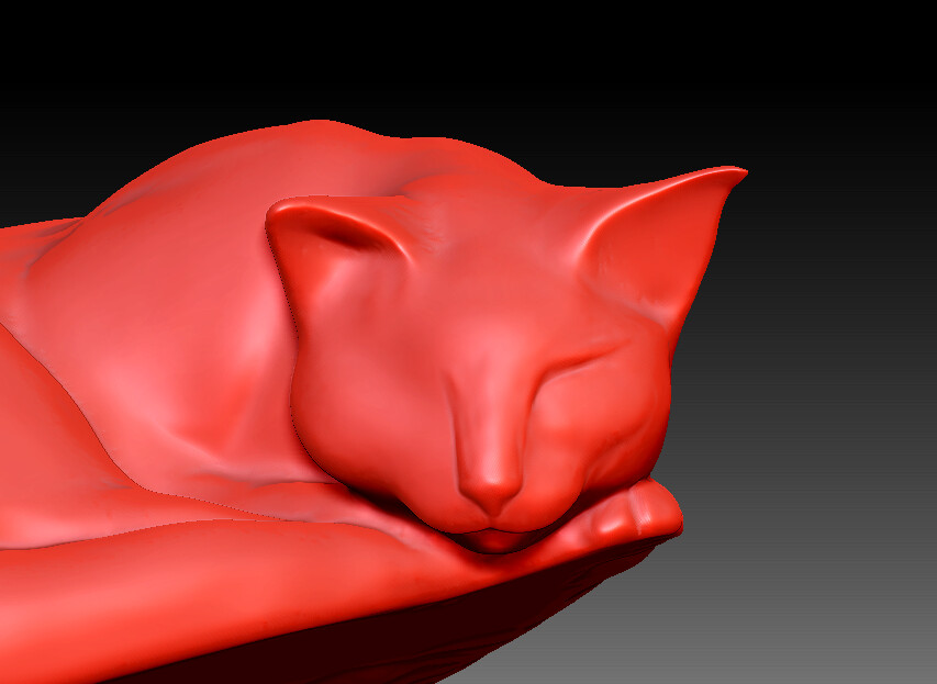 The ears proved to be the most frustrating part of the entire sculpture for me, though I have them in a spot where I can refine them later. I started on the facial features but knew I should wait to continue them until I refined the rest of the body.