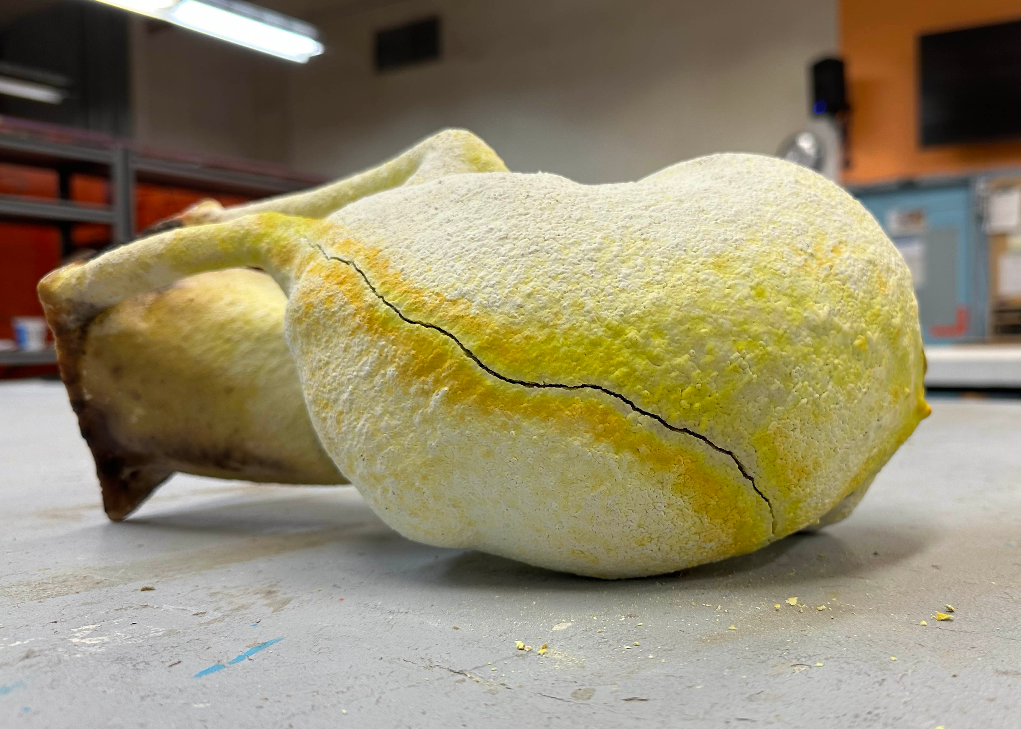 A nice crack formed throughout the shell during boilout.